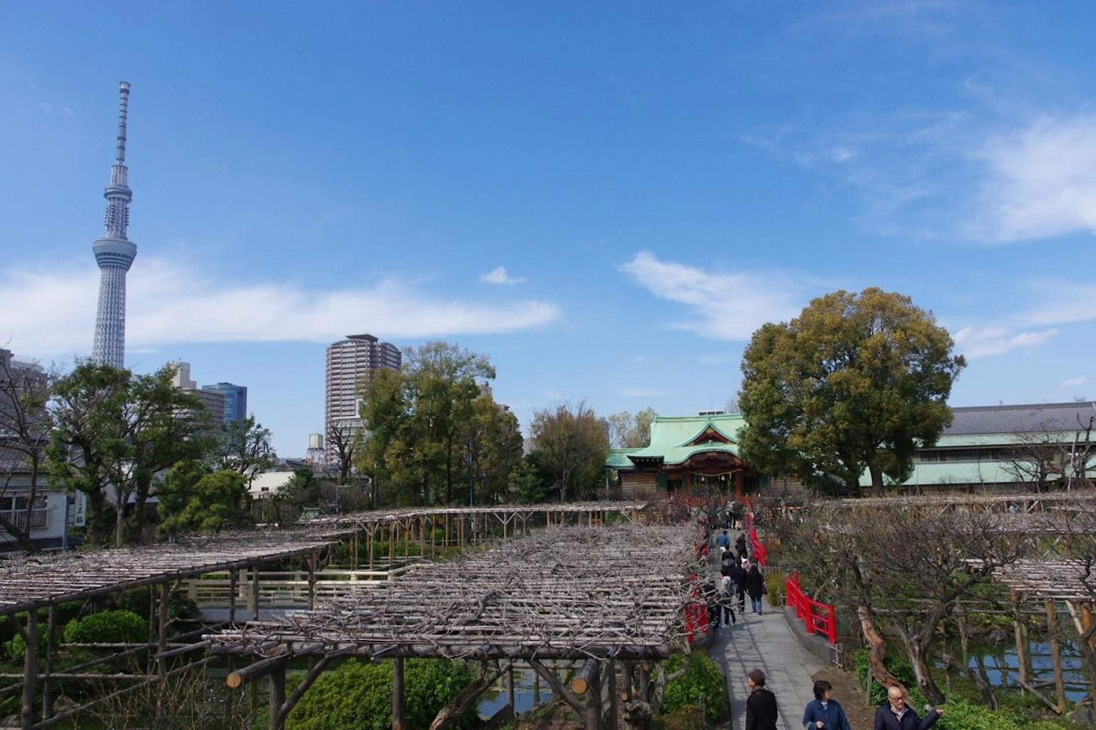 东京公园中传统建筑的景观，背景是东京晴空塔