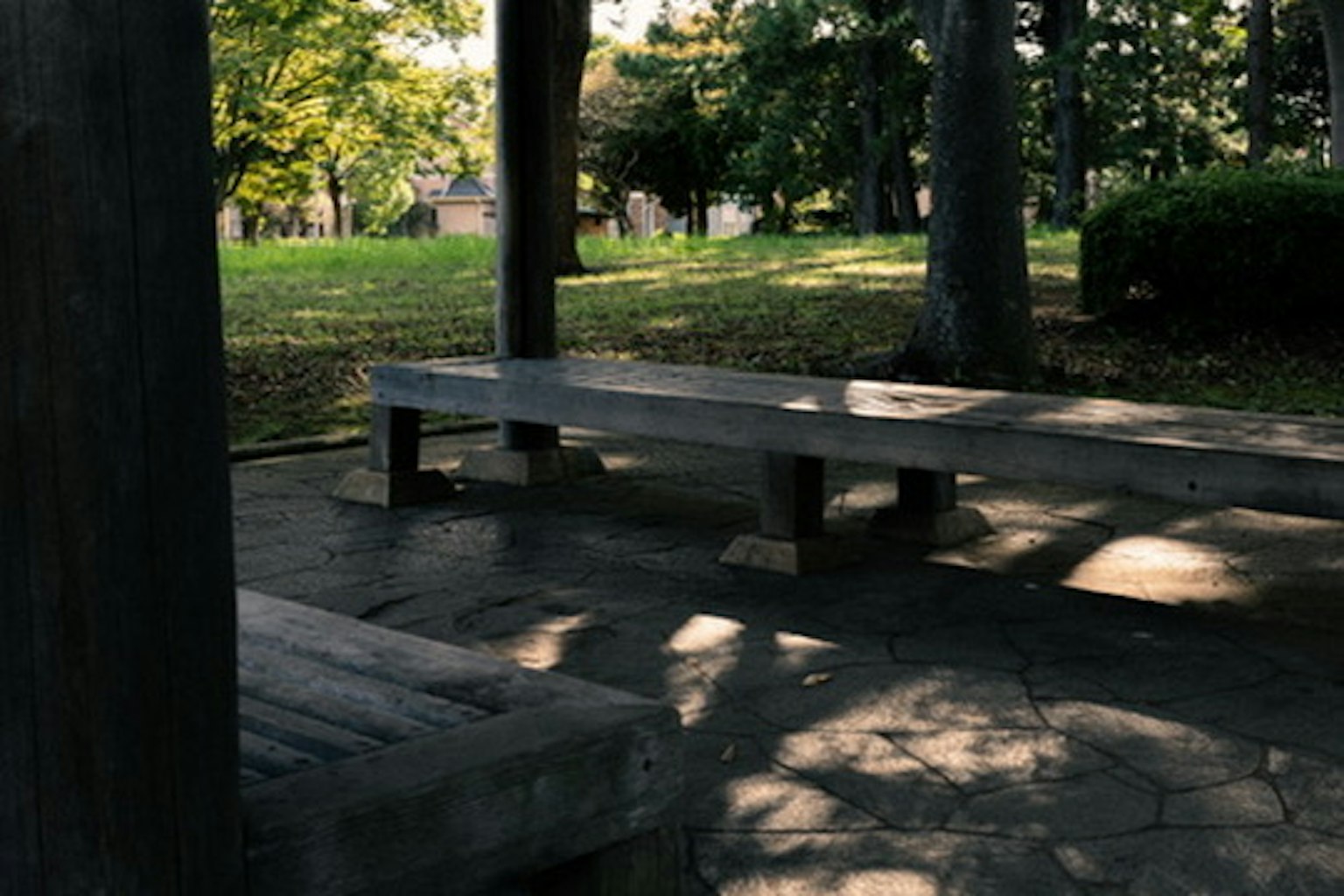 公園中的木製長椅，四周環繞著綠色樹木