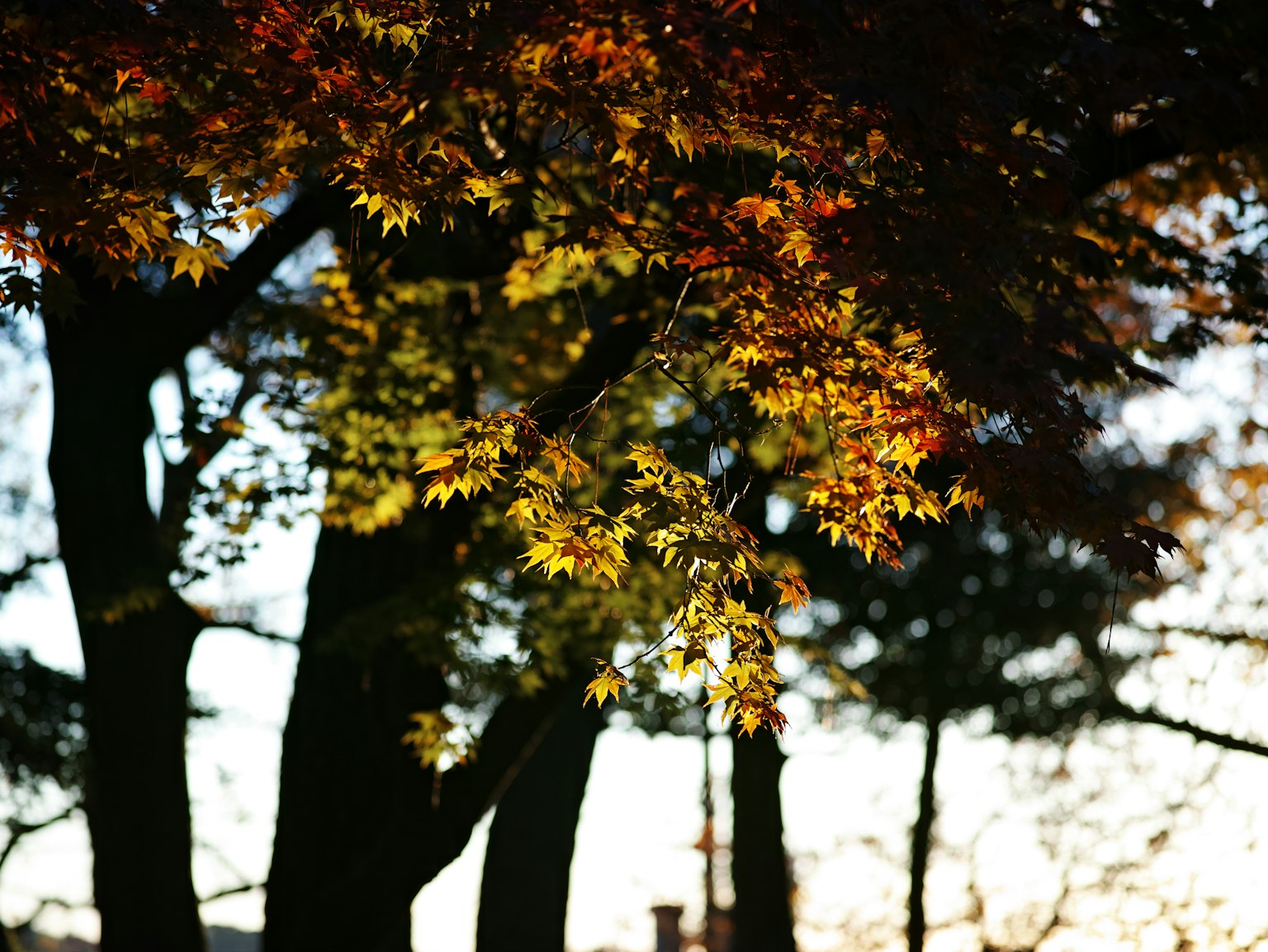 photo-w15e3SSDJWJTVzBJBNas-image