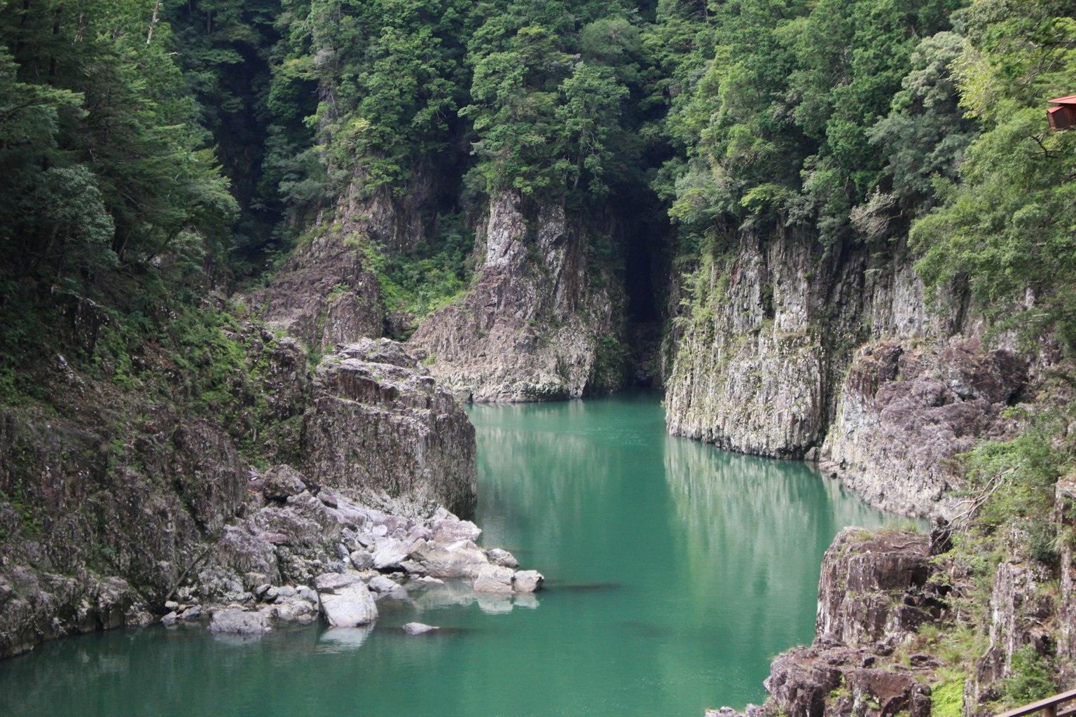 Canyon sereno circondato da alberi verdi e acqua che scorre