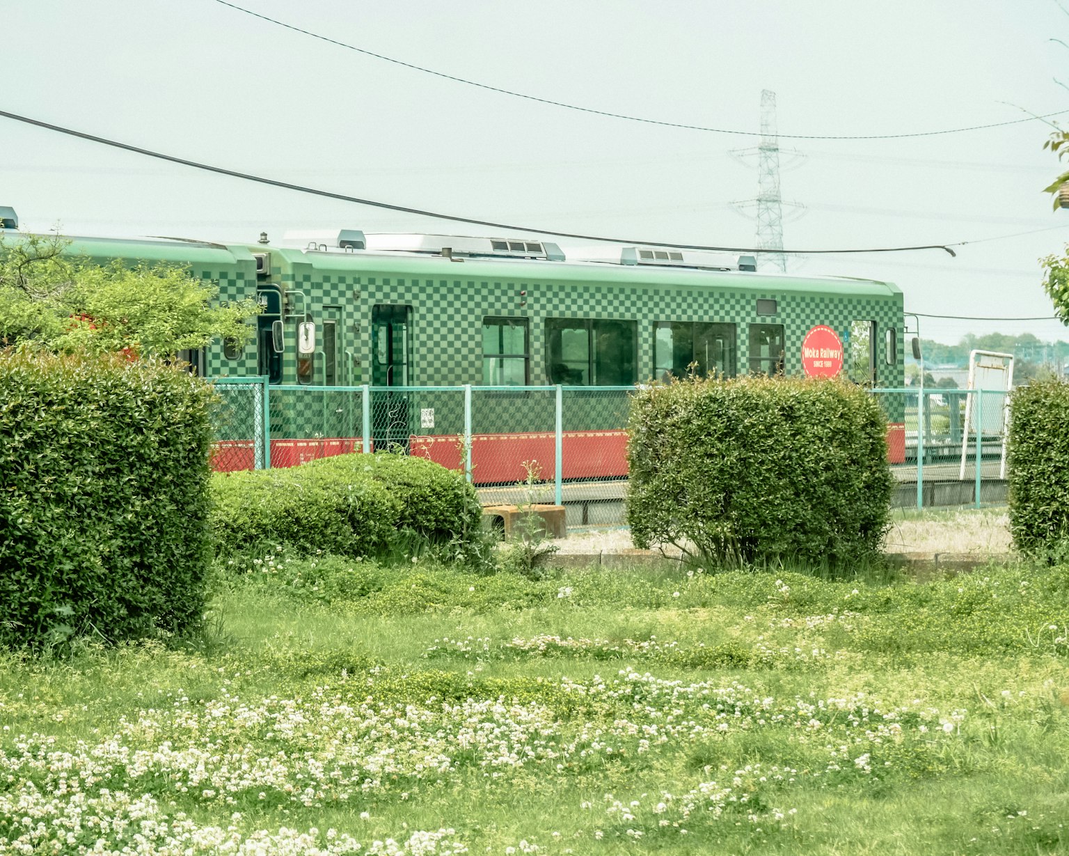 Grüner Zug, der nahe einem Zaun steht, umgeben von Büschen und Gras