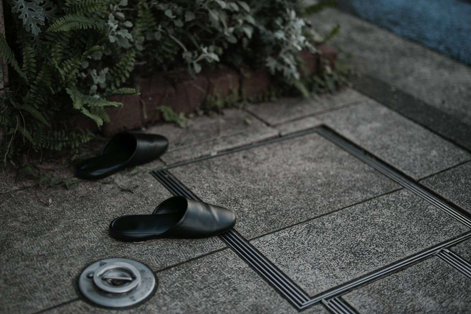 Black slippers placed on the ground near greenery