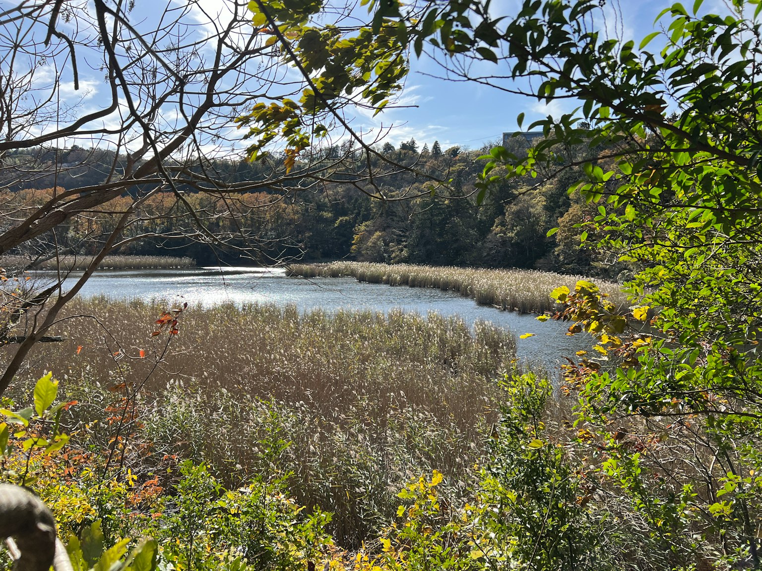 Paisaje natural con un río y vegetación circundante