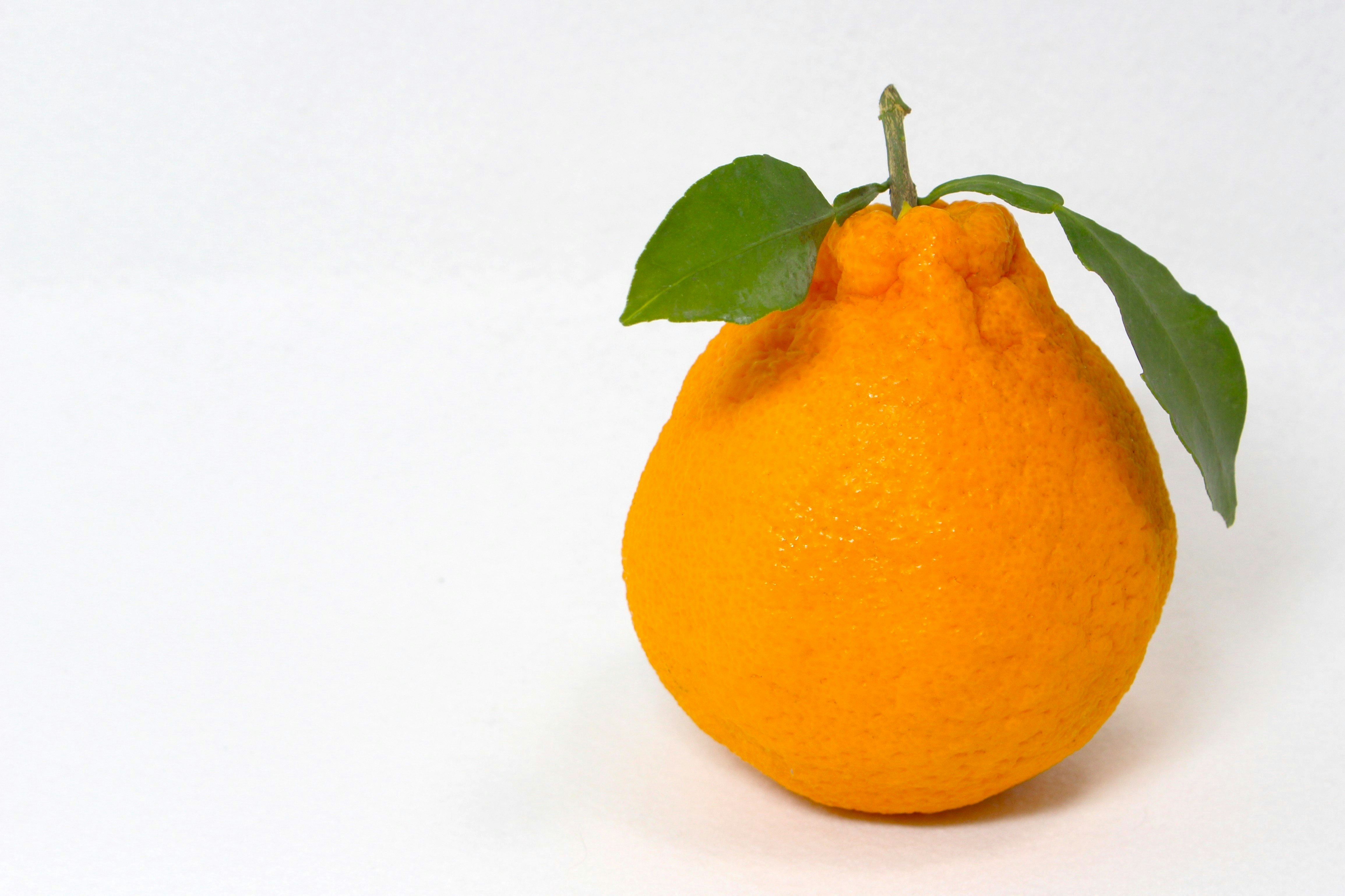 orange fruit with leaves on a white background