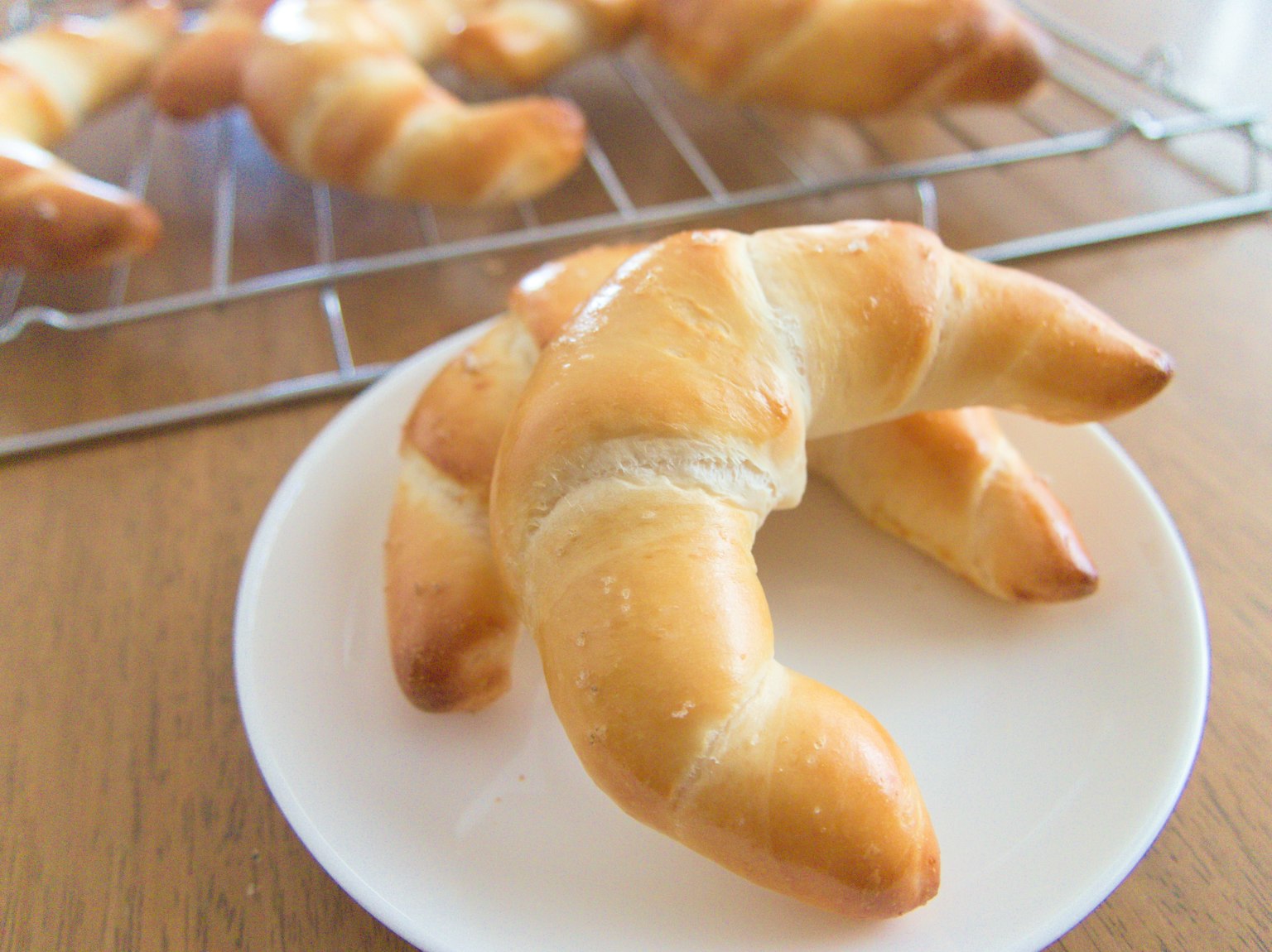 Freshly baked croissant on a white plate