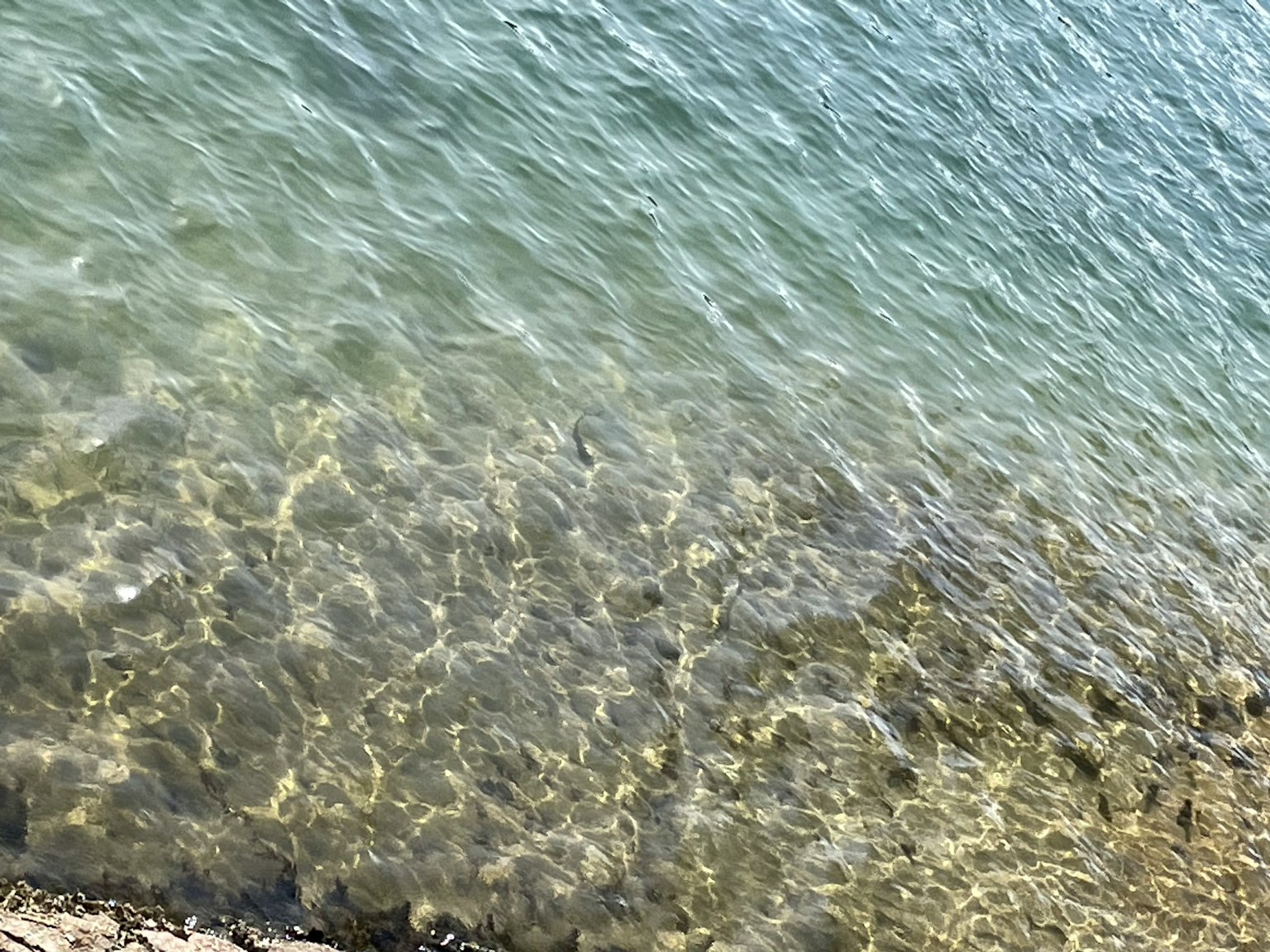 Superficie d'acqua chiara con spiaggia di sabbia e onde leggere