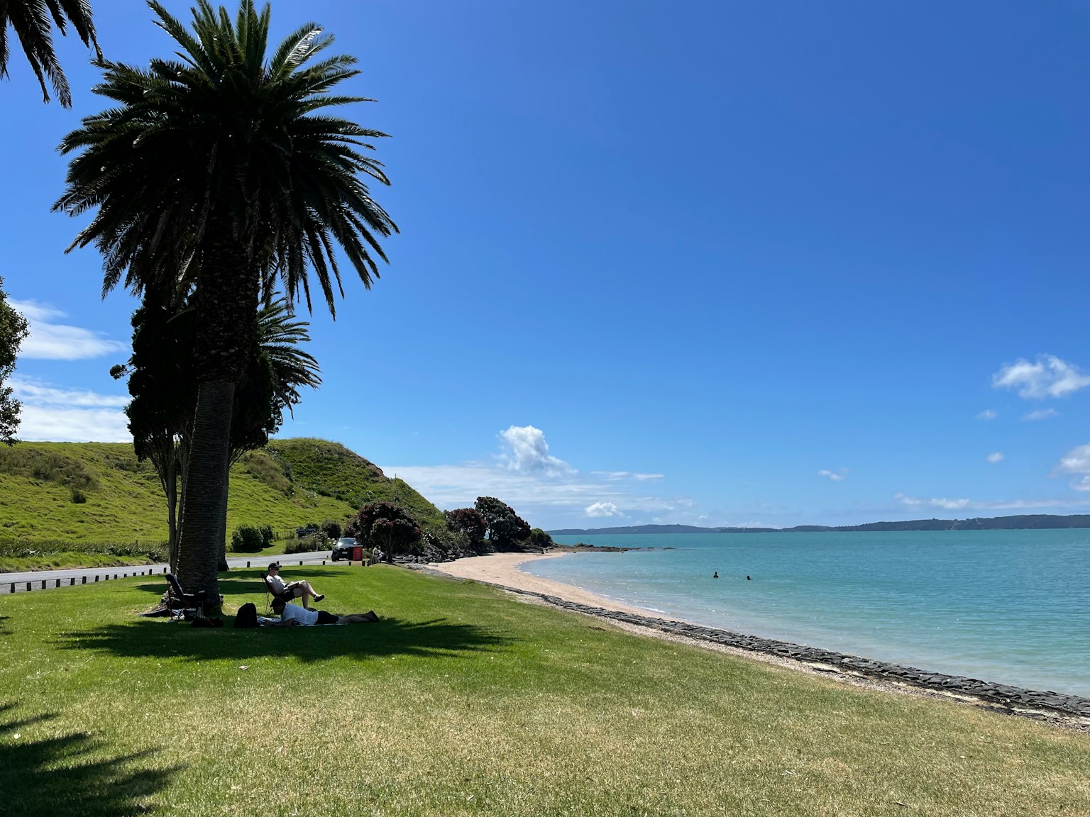 Scenic beach view with blue sky and sea featuring large palm trees and green grass