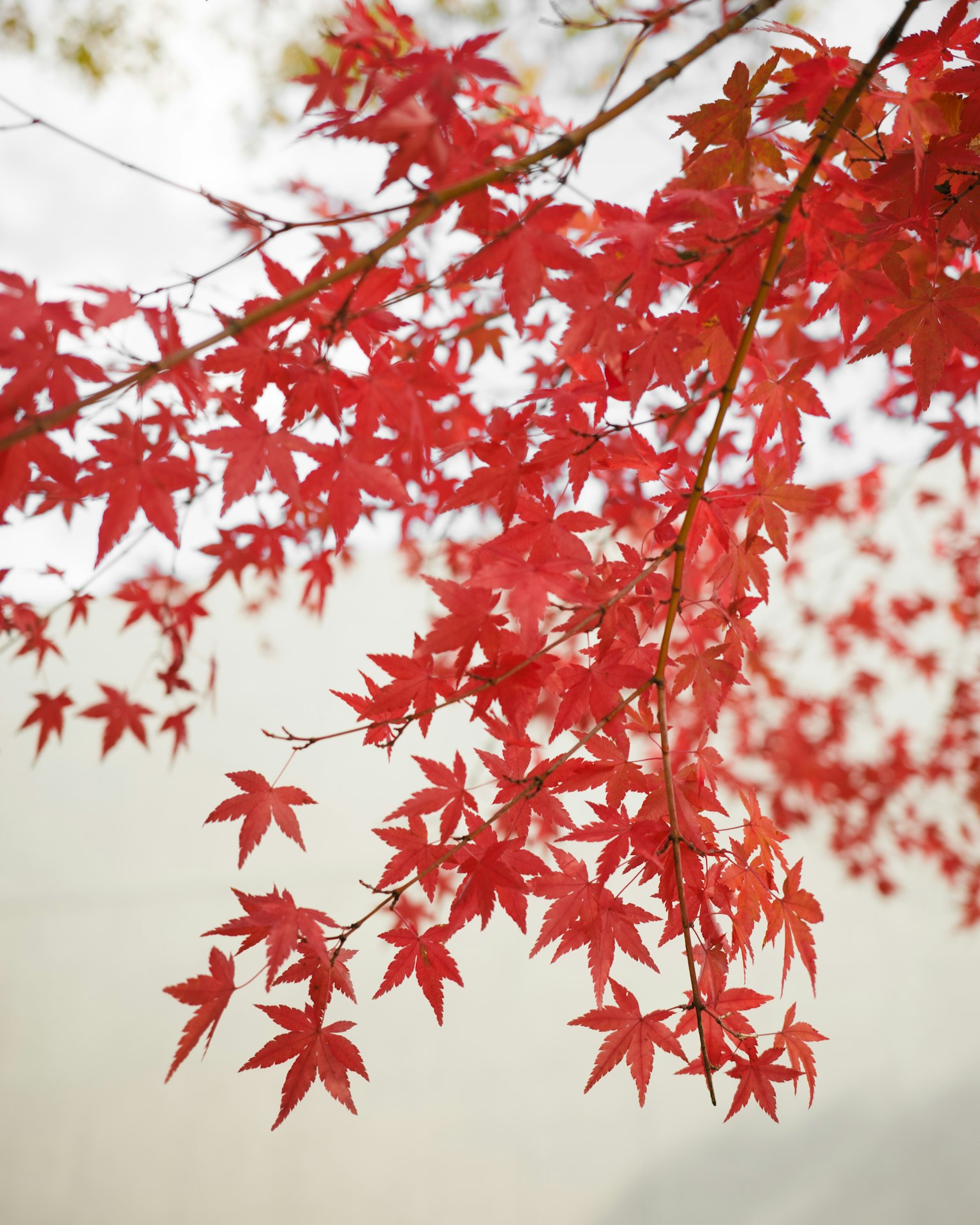 photo-w79DbT1IcYRGhZNmmKxy-image