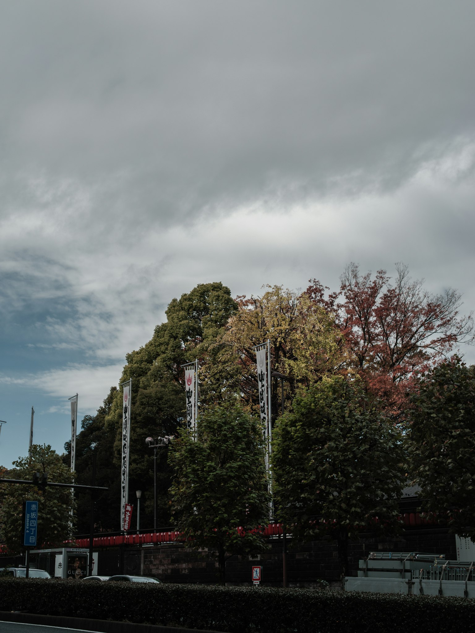 ภาพภูมิทัศน์ที่มีท้องฟ้าหมอกและต้นไม้สีเขียว