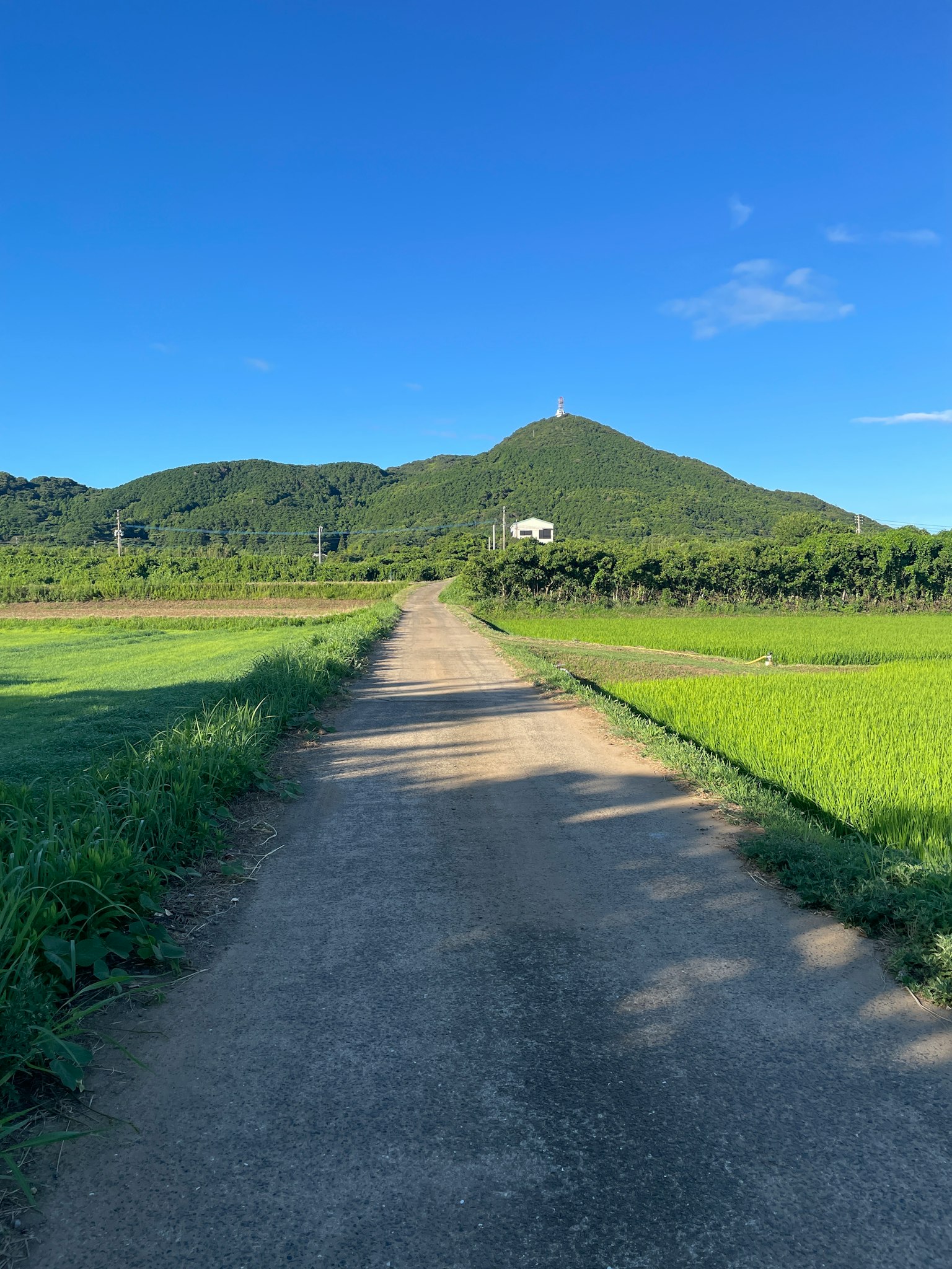 Ländlicher Weg, der zu einem grünen Hügel unter blauem Himmel führt