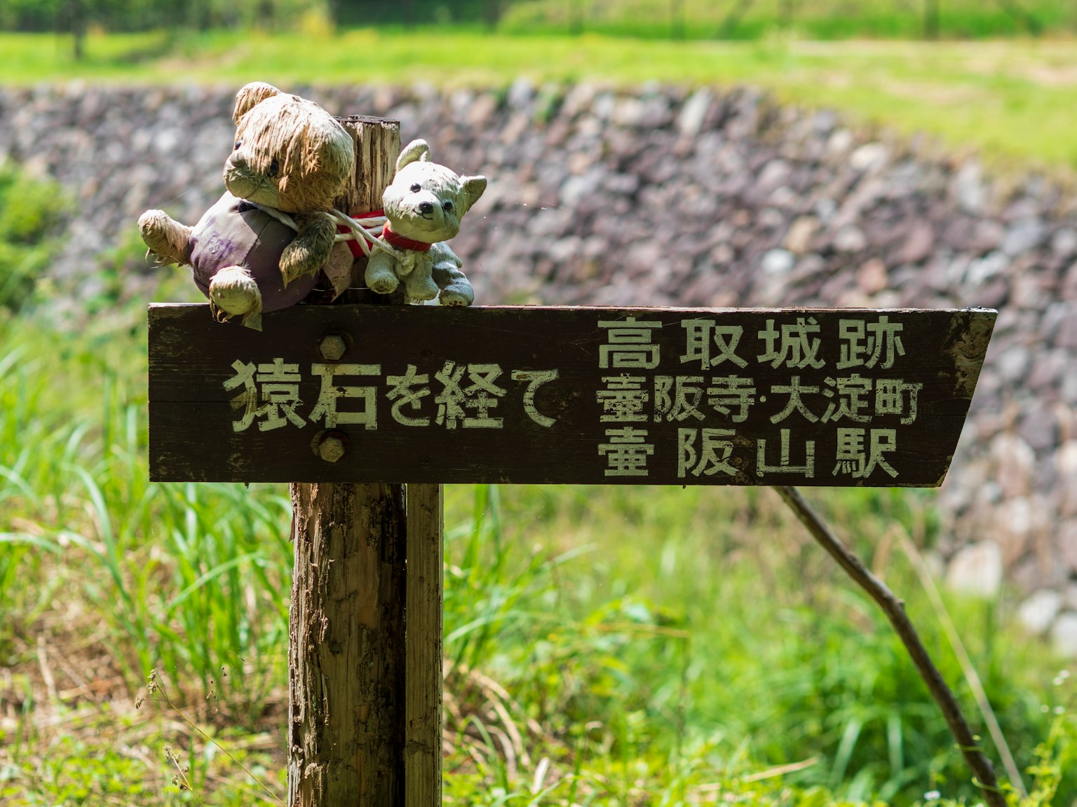 一块木制标志上放着毛绒玩具，周围是草地