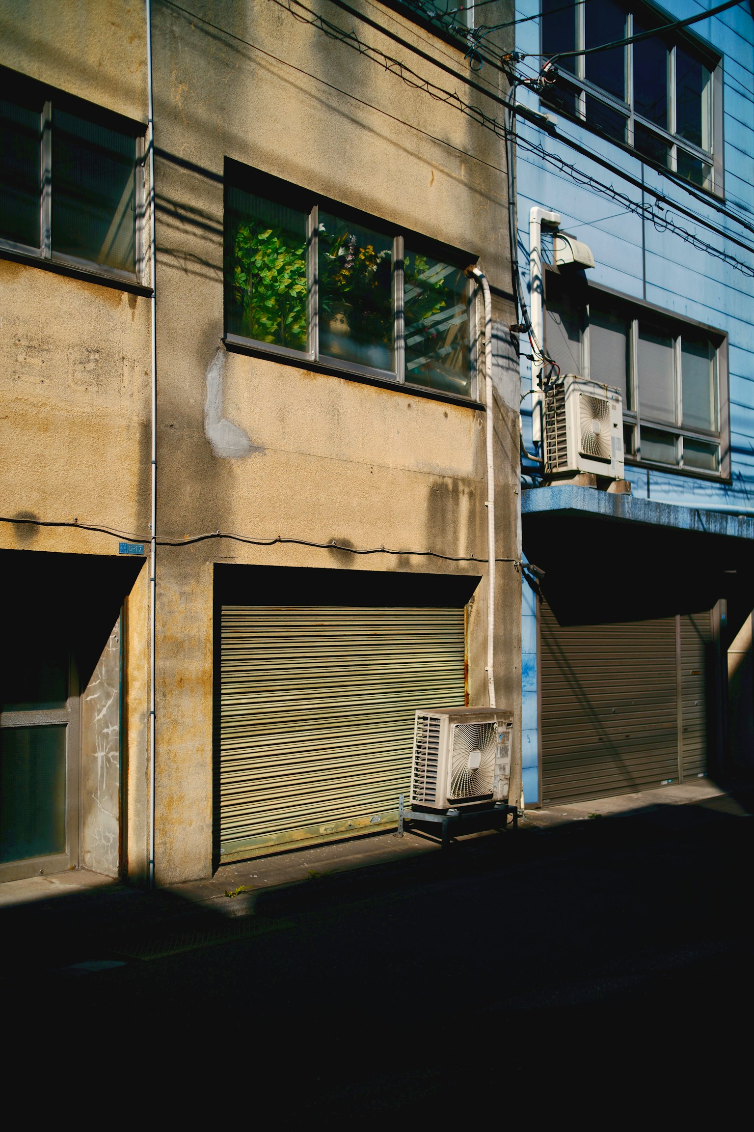老建築的外觀，藍色和米色牆壁，窗戶可見綠植，空調單元