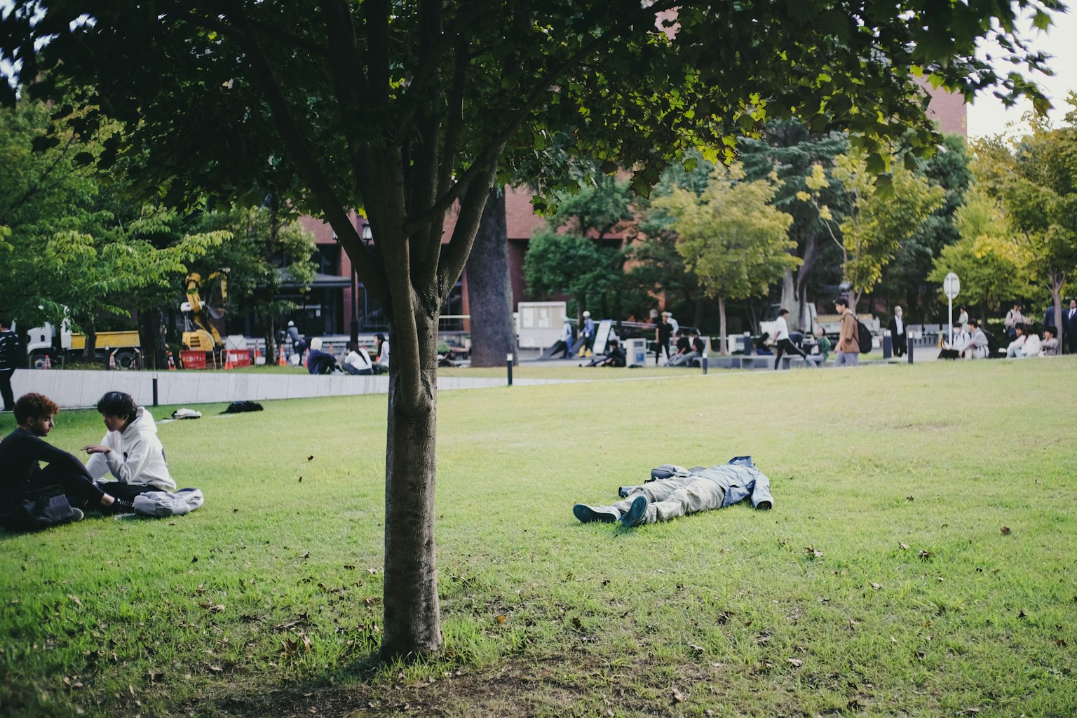 公園裡放鬆的人和躺在樹下的人