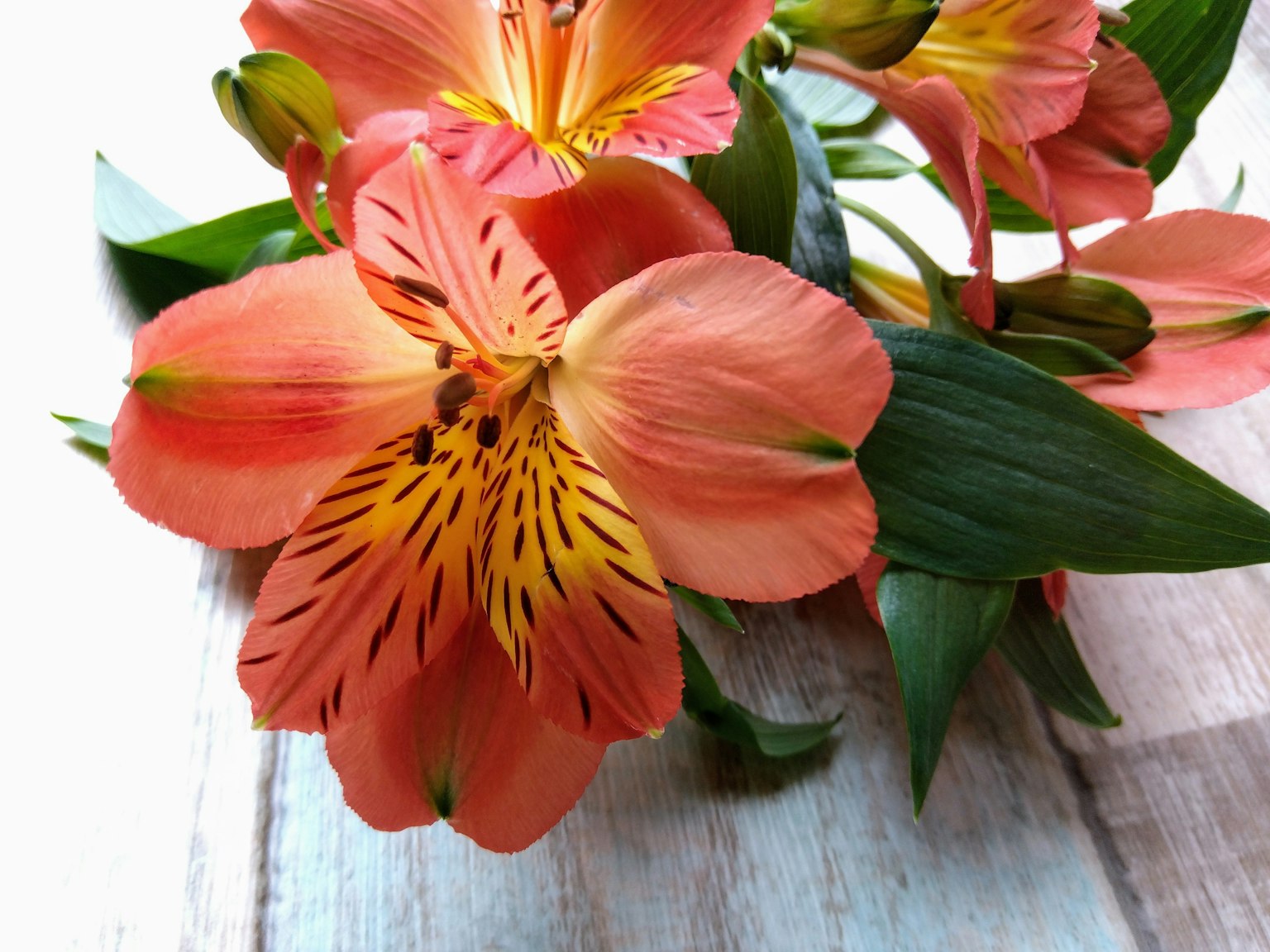 A bouquet of orange Alstroemeria flowers with green leaves arranged on a wooden table