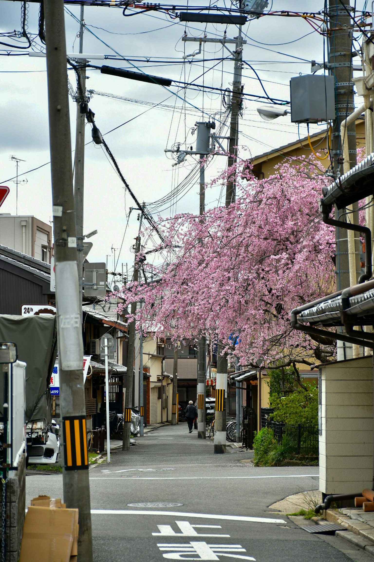 Schmale Gasse mit blühenden Kirschbäumen traditionellen japanischen Häusern und Strommasten