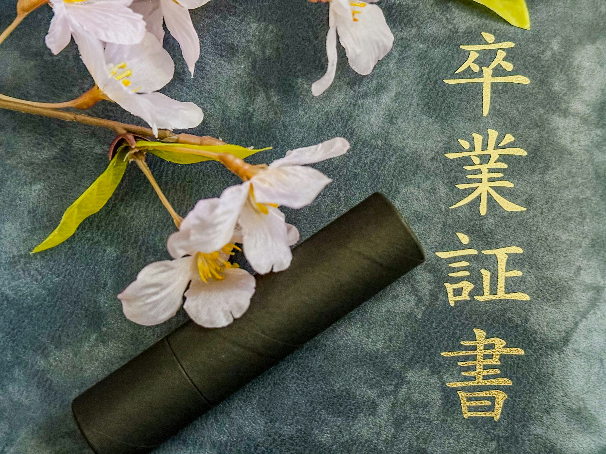 diplôme de fin d’études avec pétales de fleurs de cerisier sur un bureau
