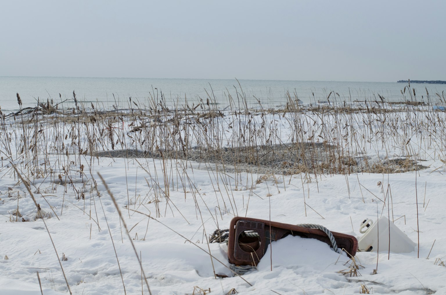 Sedia vecchia abbandonata su una spiaggia innevata con erba rada e acqua calma