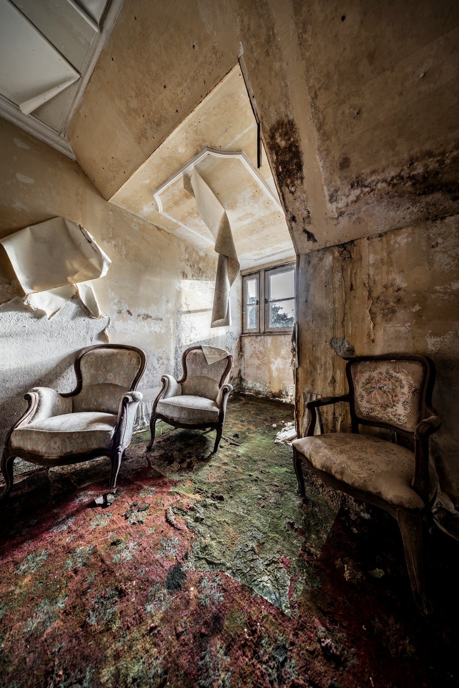 버려진 방에 있는 두 개의 의자와 먼지와 때가 덮인 카펫