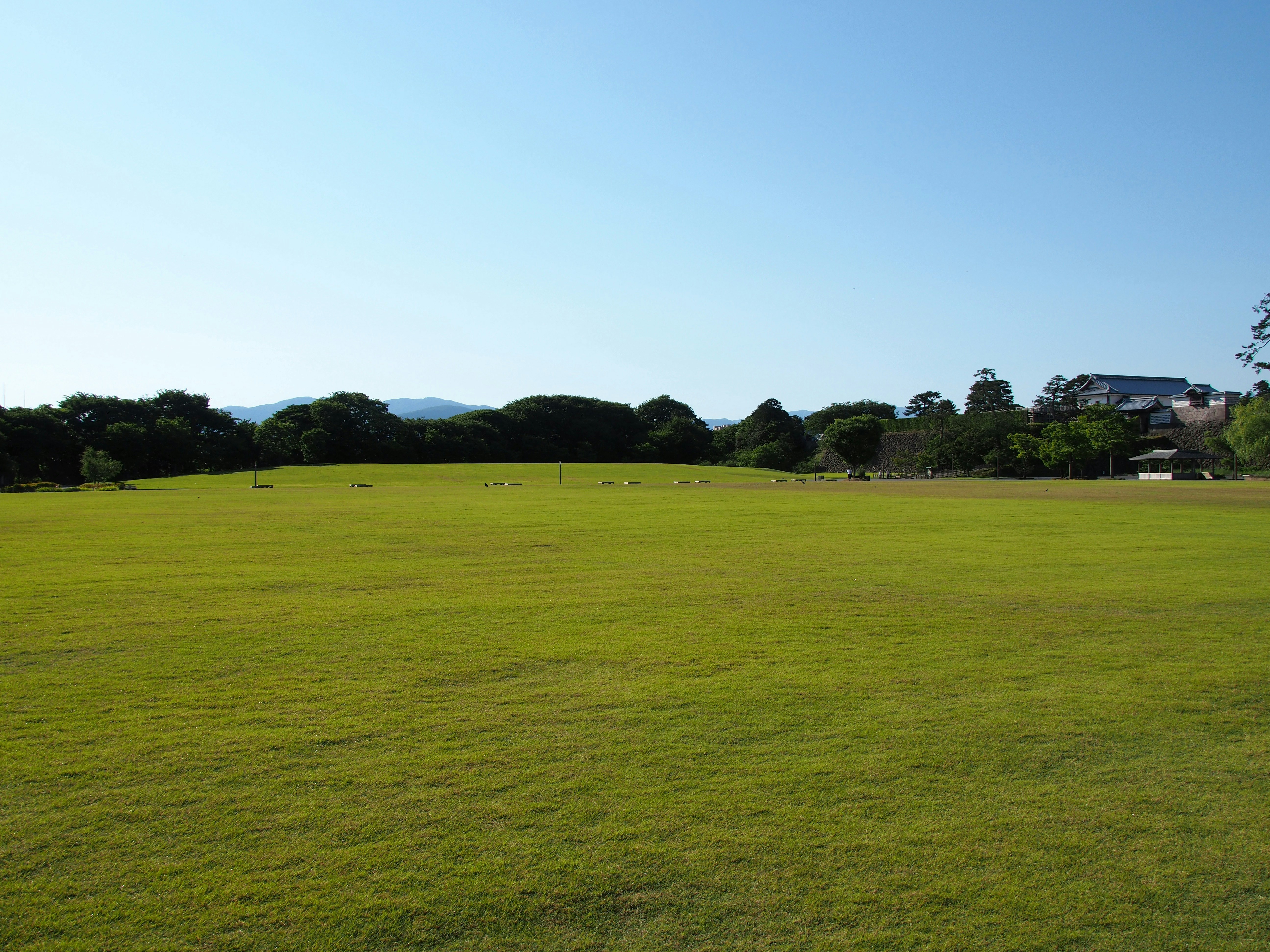 宽阔草地与远处丘陵及树林的风景