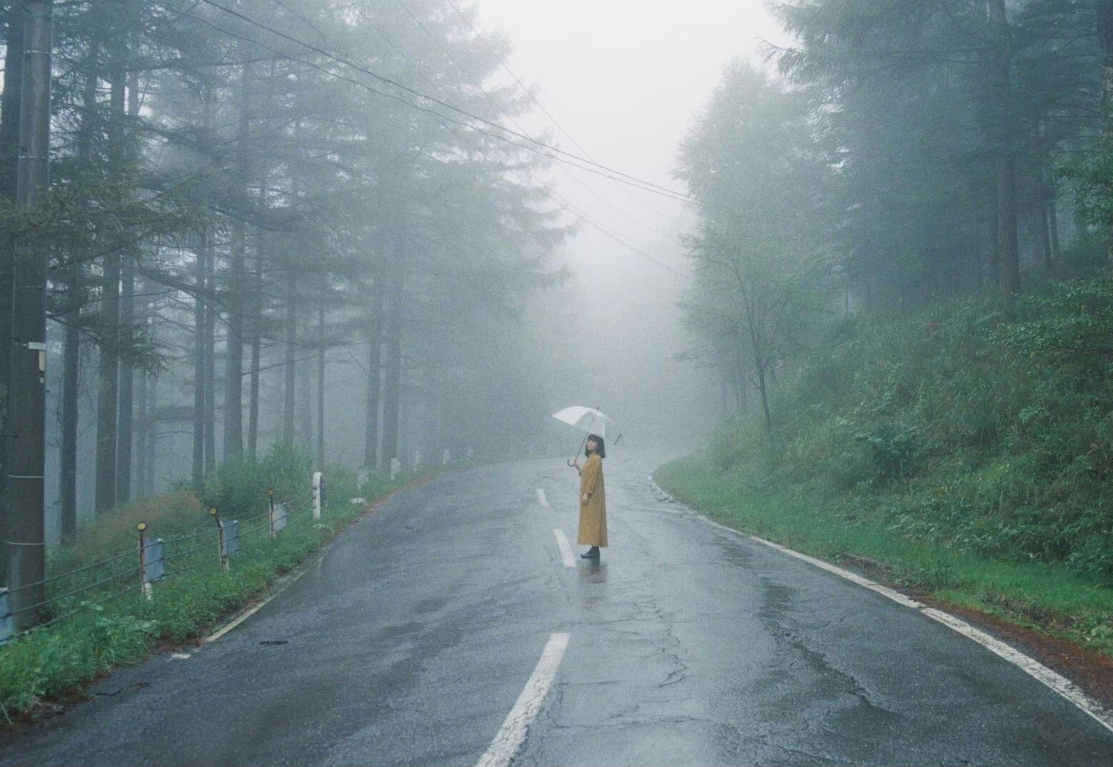 霧の森の一本道を歩く人物