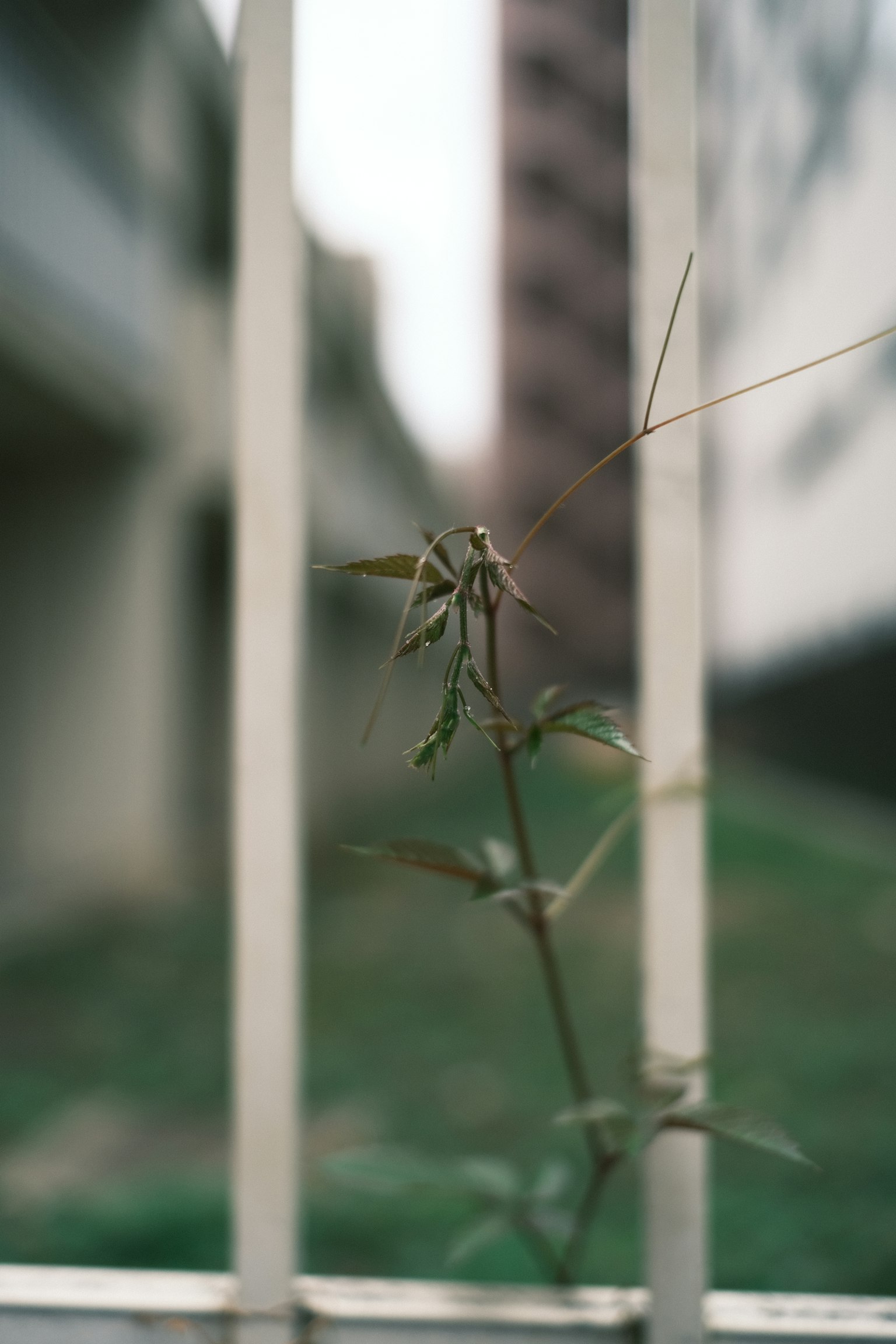 photo-wAoK26rdS3HgCgw1fWmO-image