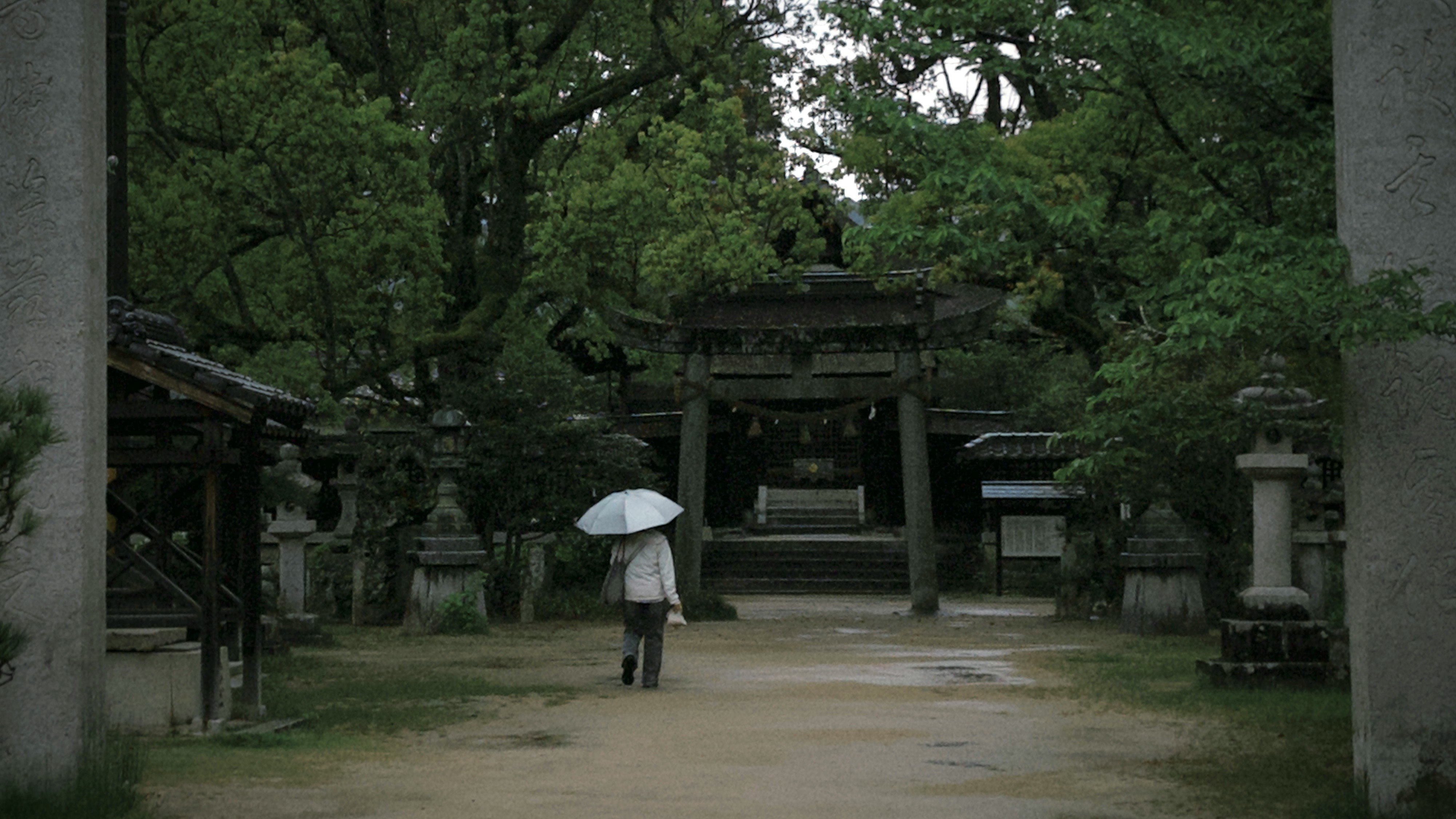 木々に囲まれた神社の参道と鳥居