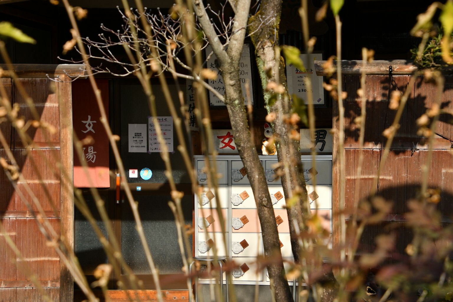 Blick auf das Innere eines traditionellen japanischen Gebäudes durch Bäume, warmes Licht, das eindringt