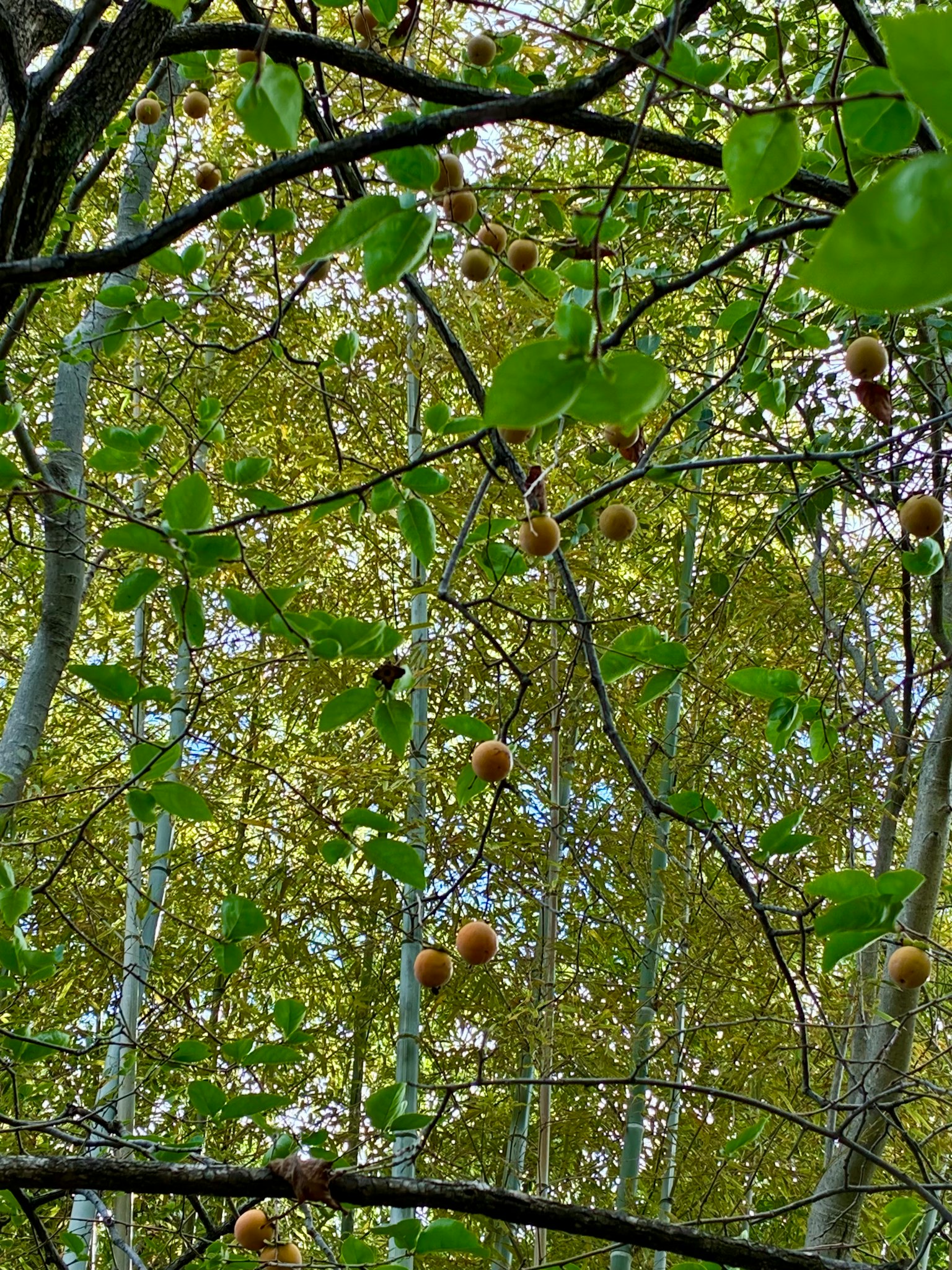 深灰色背景與簡單設計