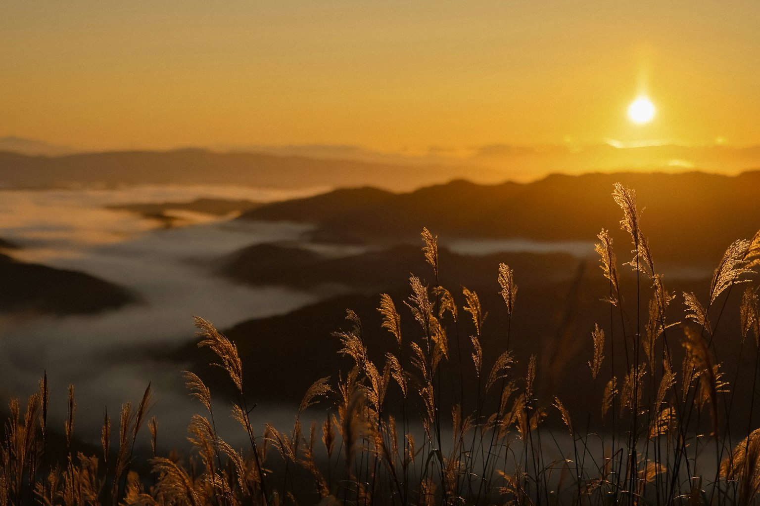 Sonnenuntergang über sanften Hügeln mit schwingendem Gras