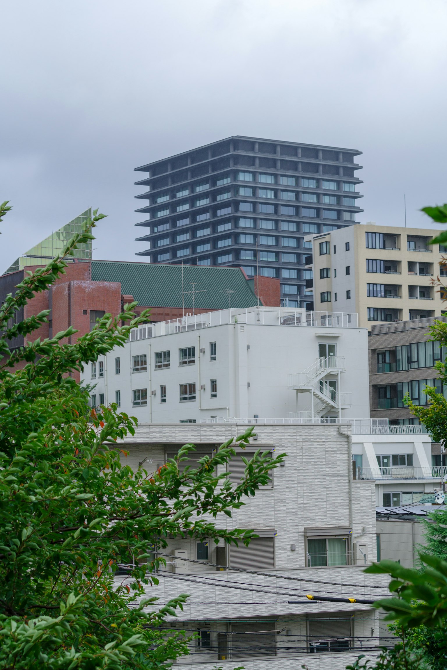 城市天際線，現代建築與綠地