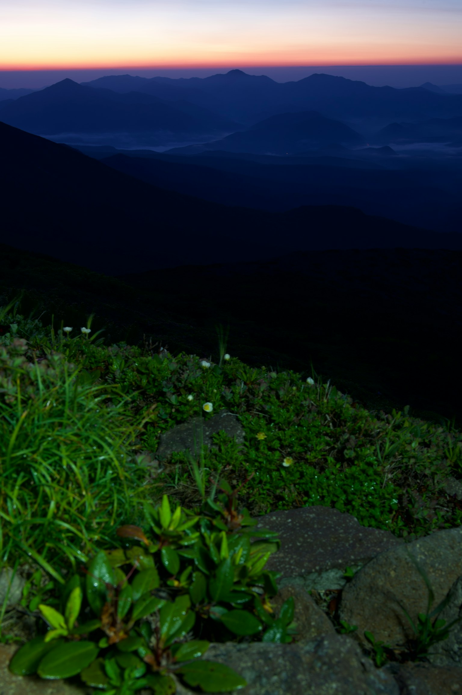 Beautiful mountain landscape at sunset with green foliage