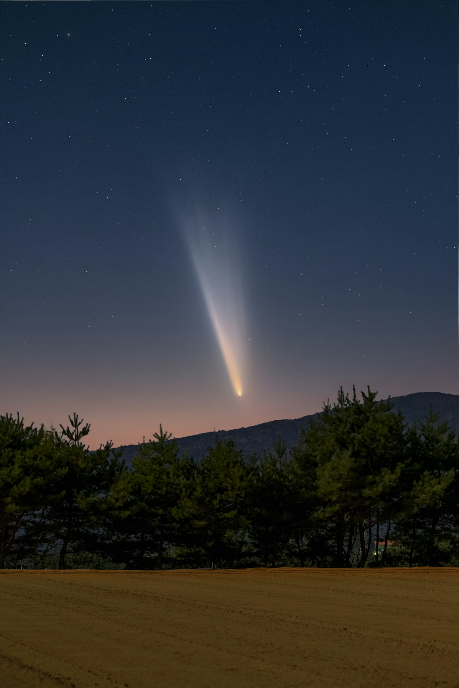 Comète brillant dans le ciel nocturne avec des silhouettes d'arbres