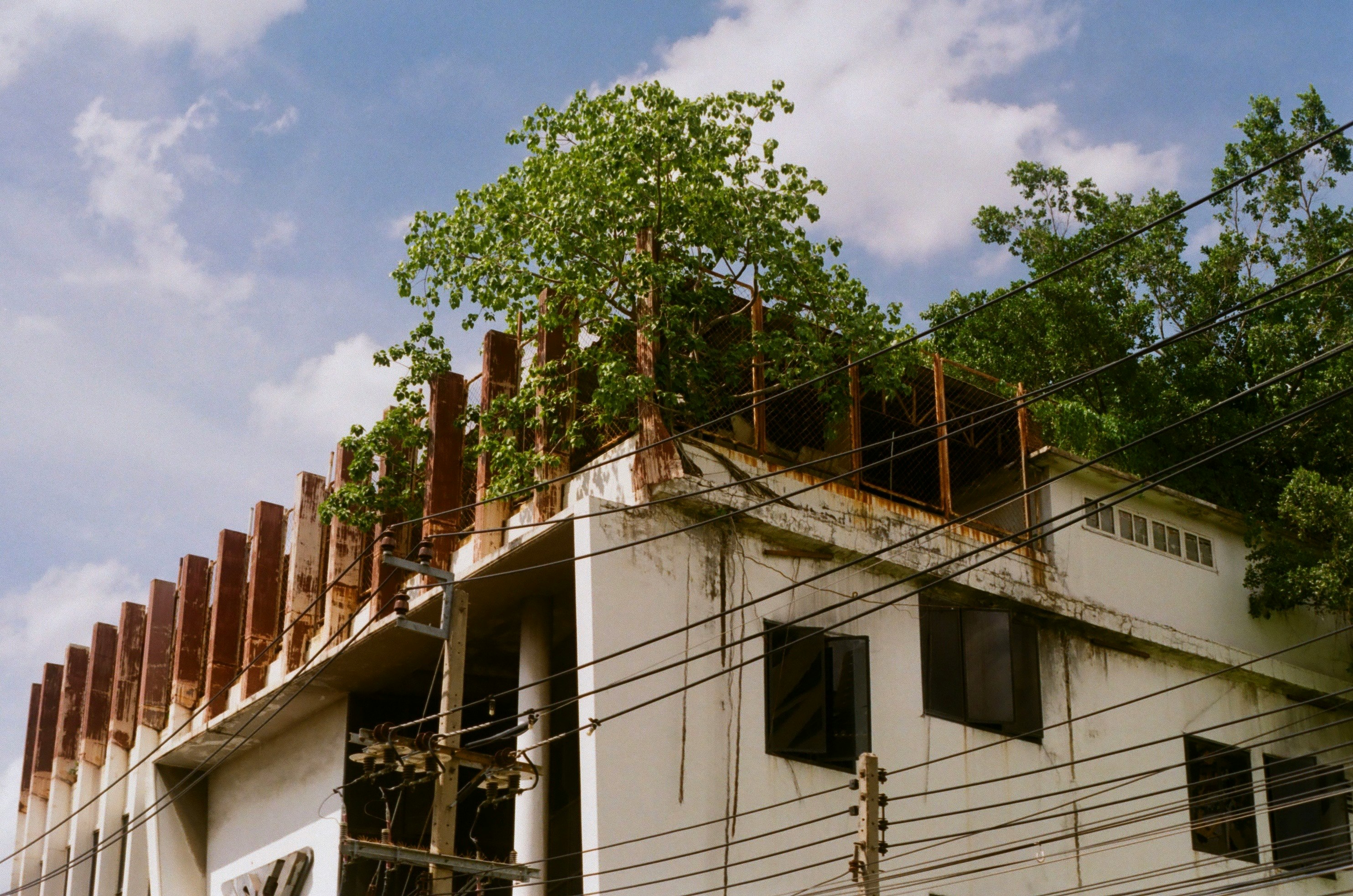 白い壁の建物と木々が見える屋外の街並み