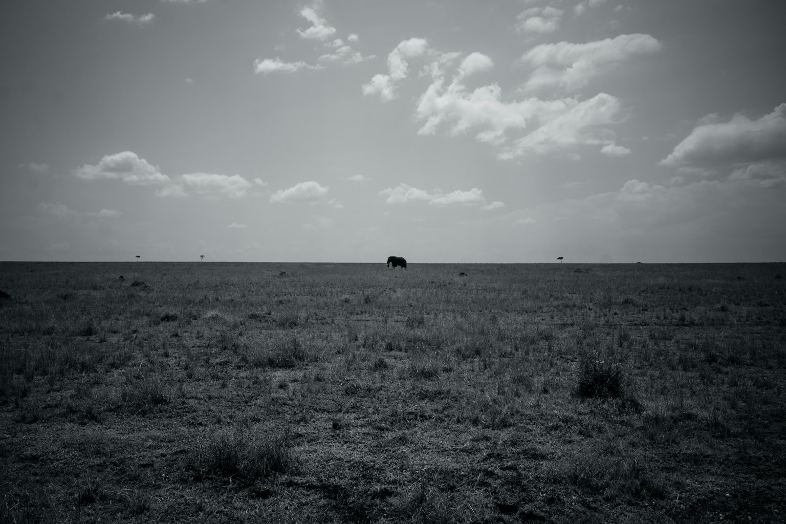 Design grafico semplice con sfondo scuro