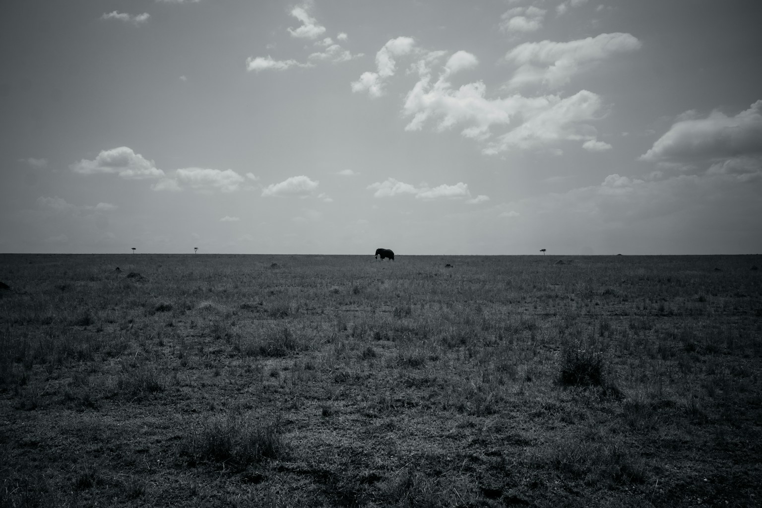 Desain grafis sederhana dengan latar belakang gelap