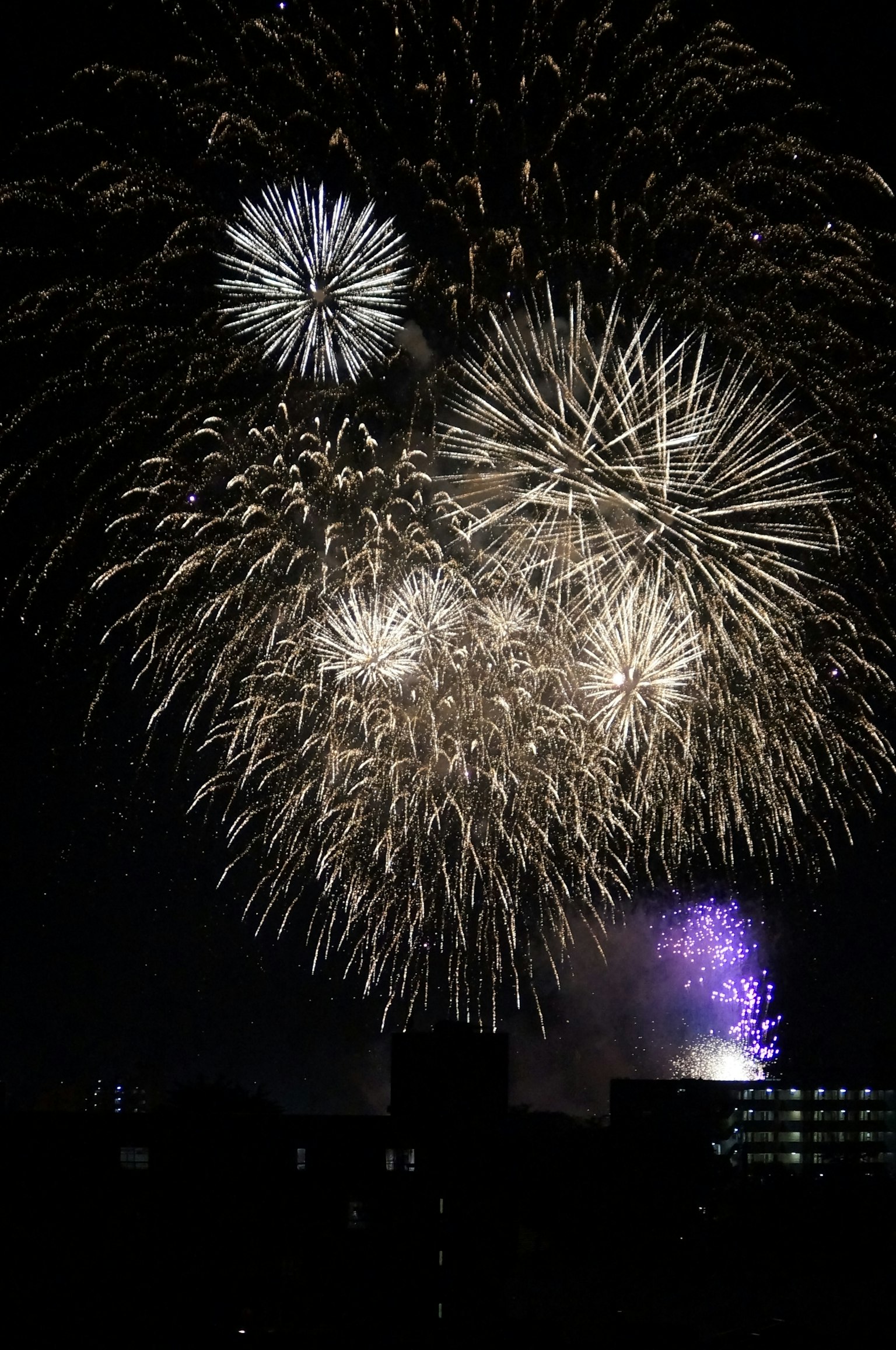 夜空中绽放的美丽烟花表演，白色和紫色的爆炸