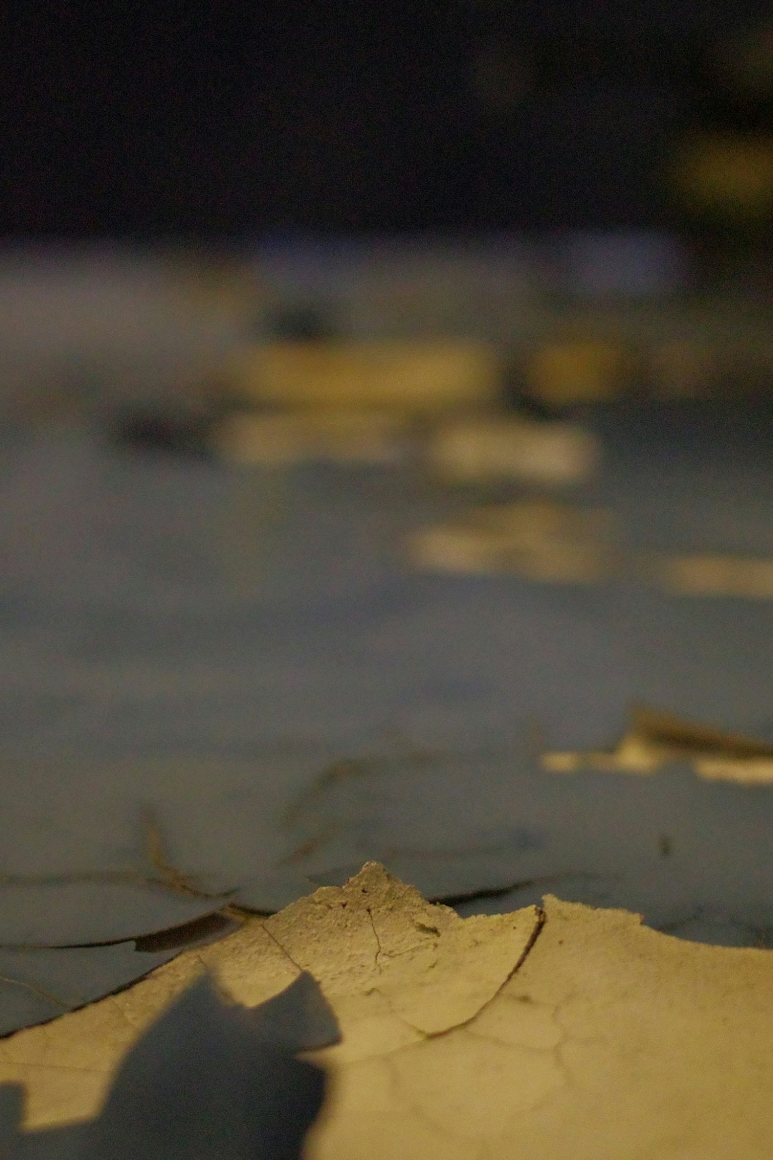 焦点の合った破れた紙の表面が見える画像