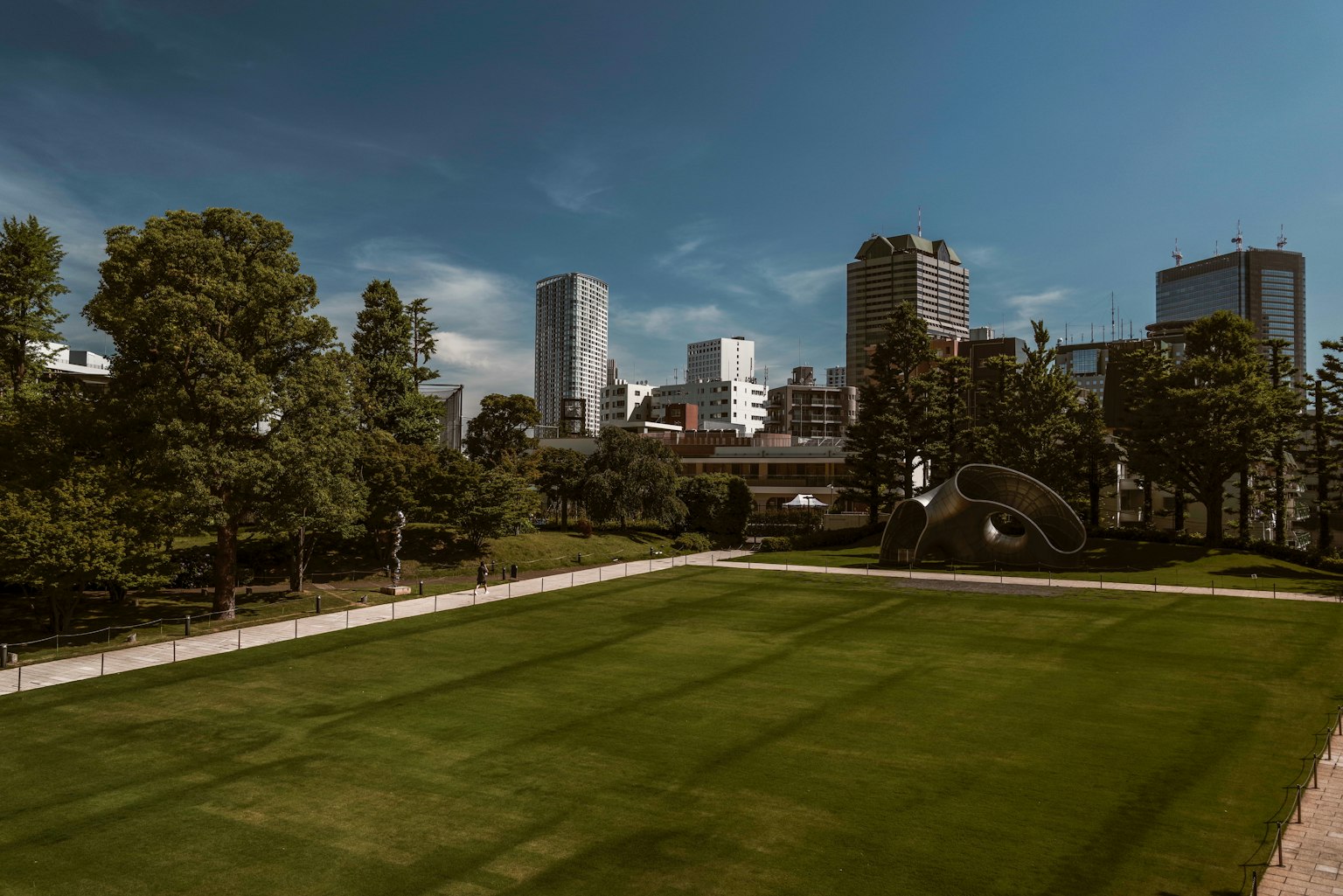 Grüner Park mit moderner Stadtsilhouette
