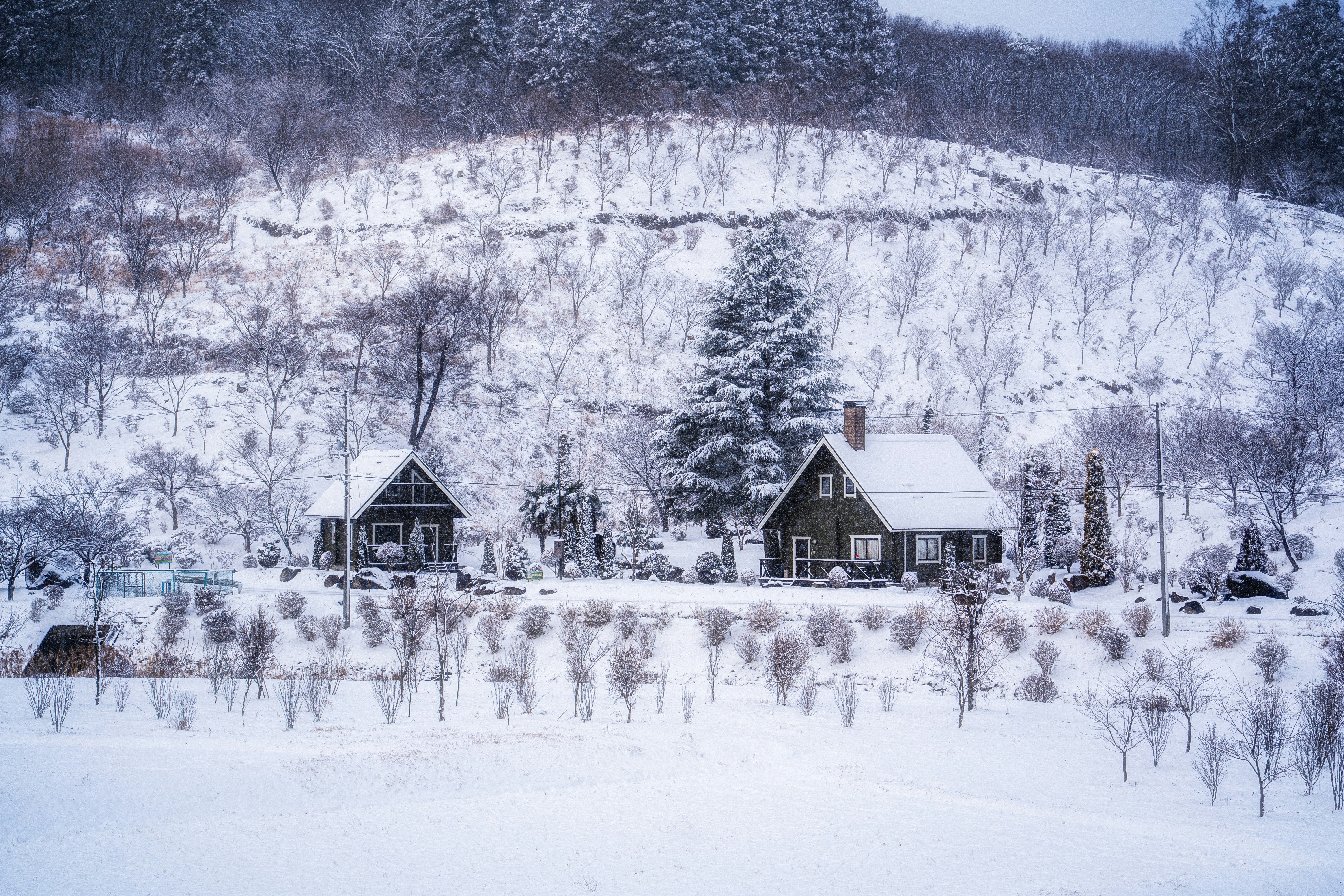 北歐風格的房屋被雪覆蓋的冬季鄉村景色