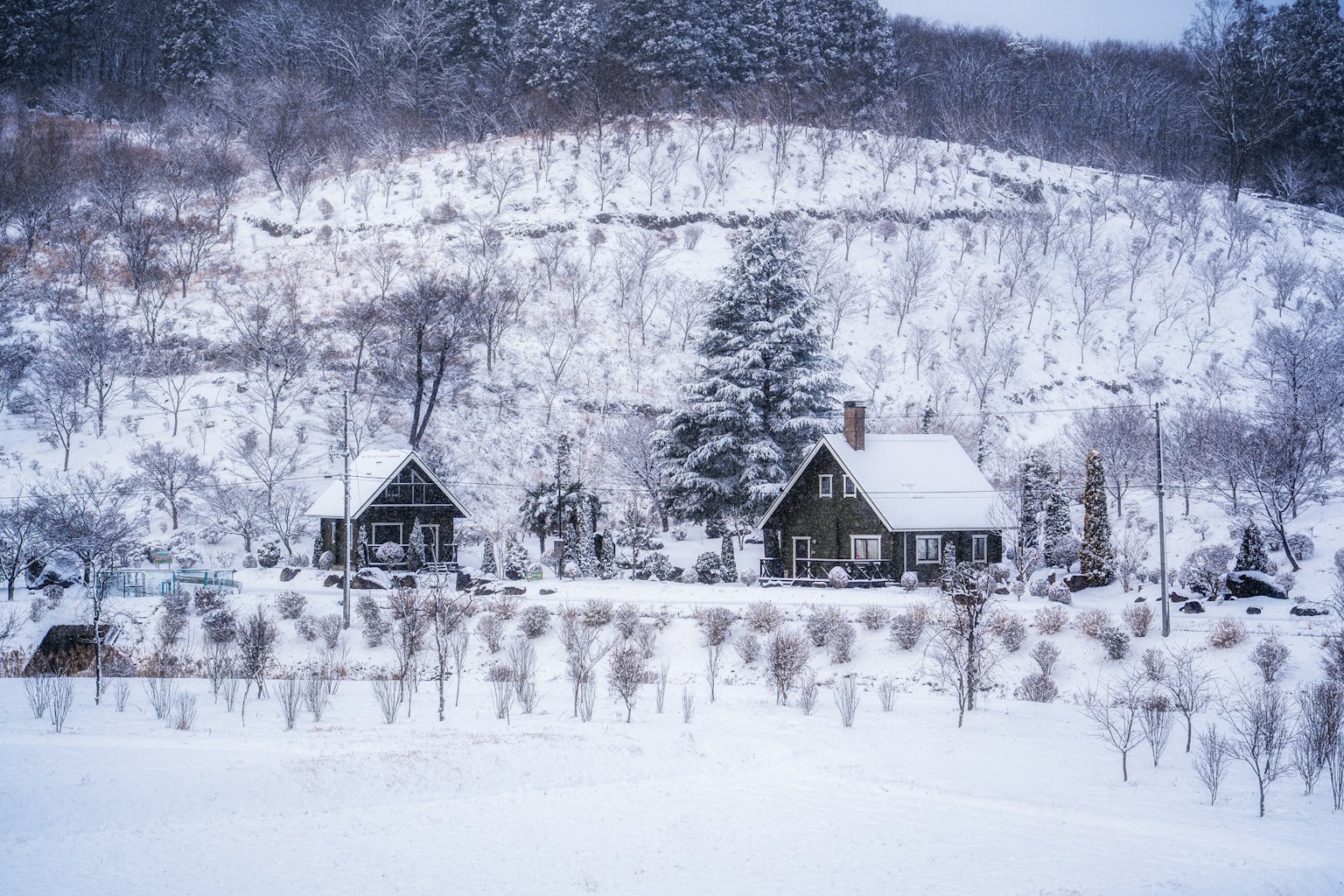 Two houses in a snowy landscape with trees and hills