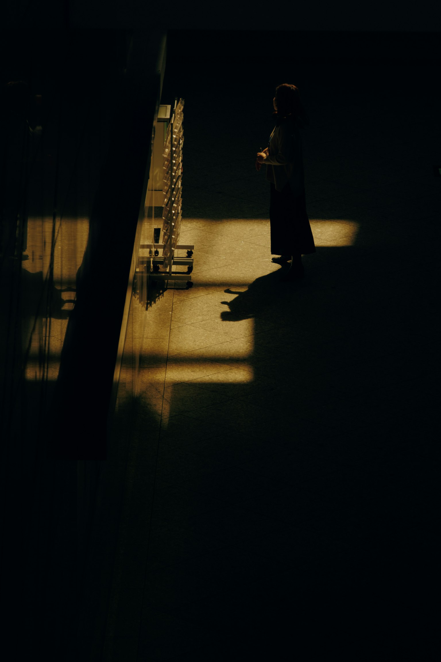 Silhouette di una persona in piedi nel gioco di ombre e luce