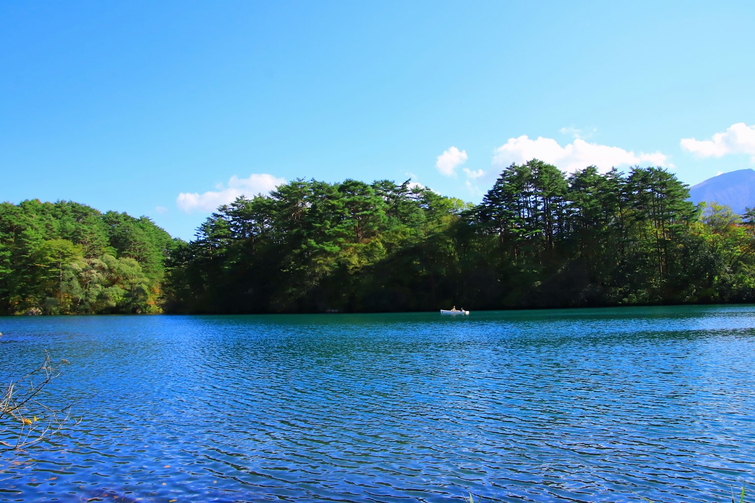 蓝色湖泊和绿色树木的风景
