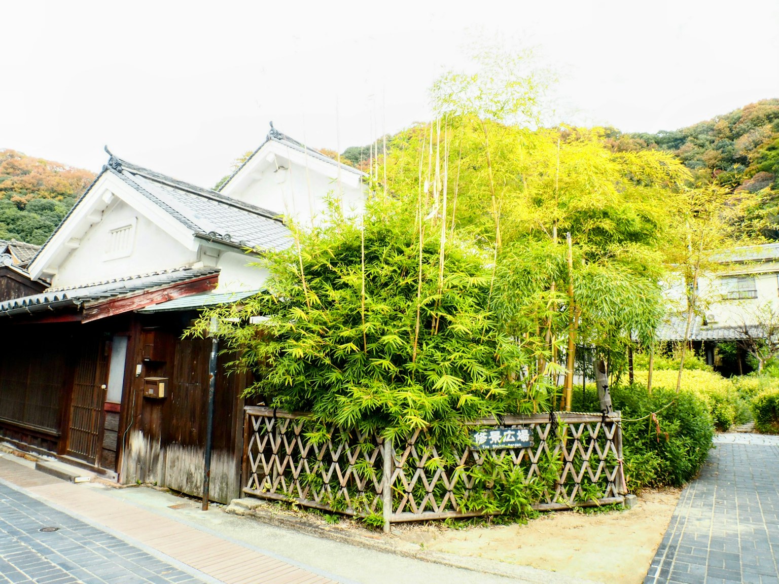Bambou luxuriant et maison japonaise traditionnelle dans un cadre pittoresque