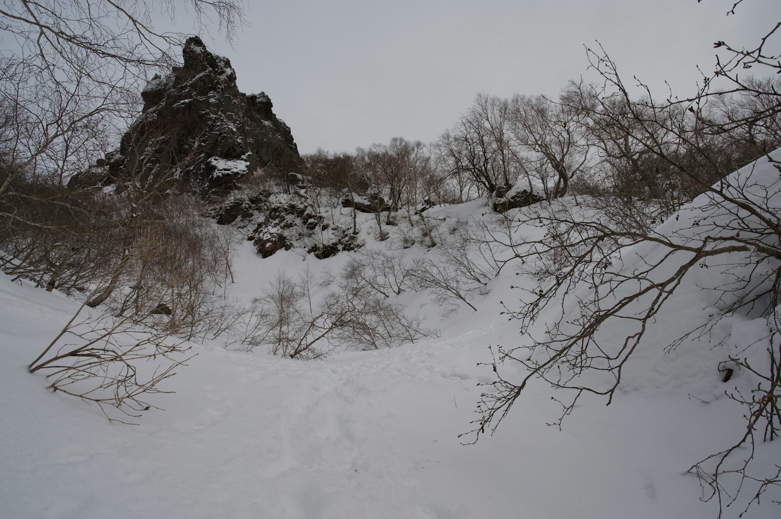 被雪覆盖的山景和树枝