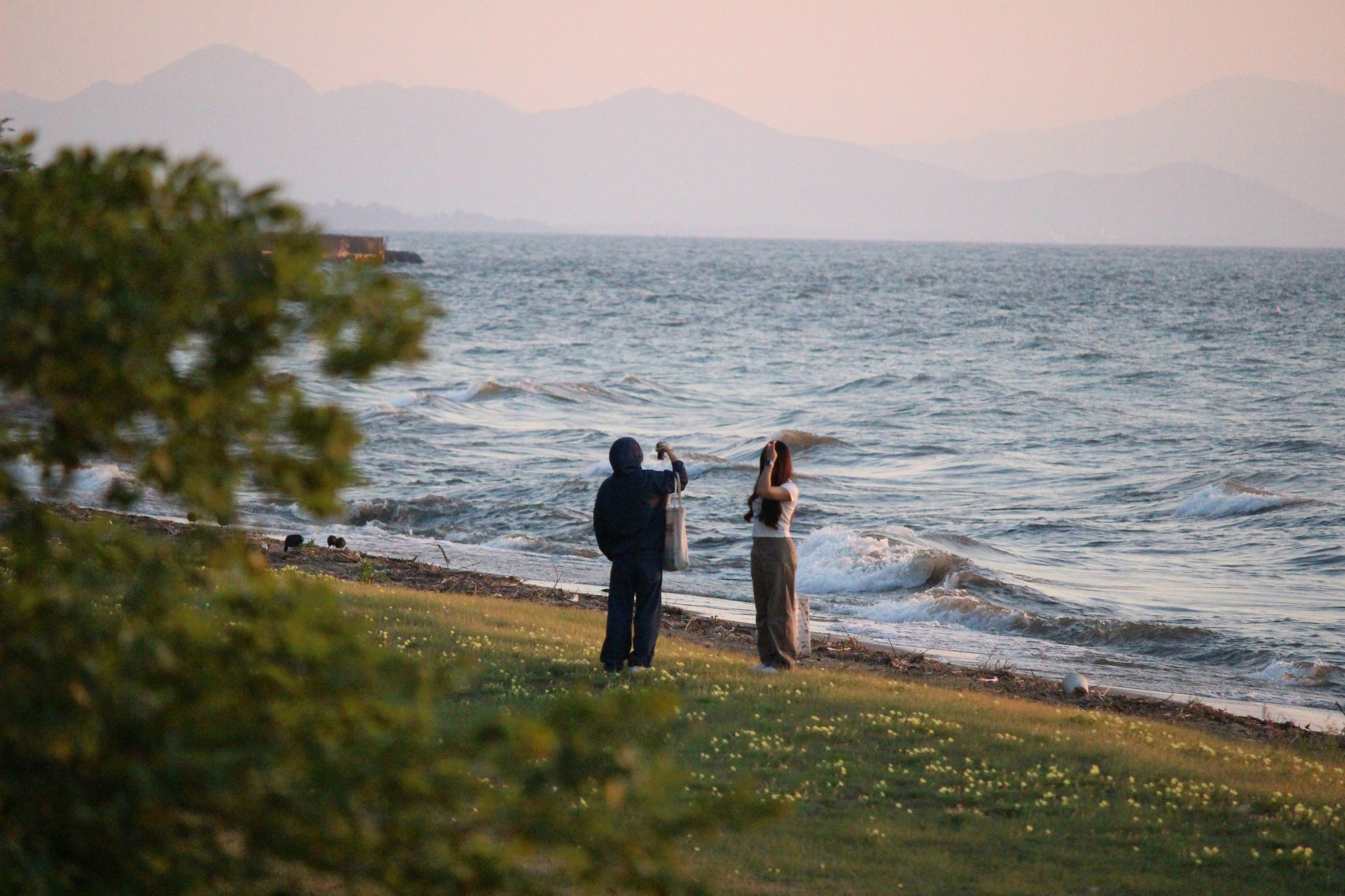 夕暮れの海辺で寄り添うカップルの後ろ姿