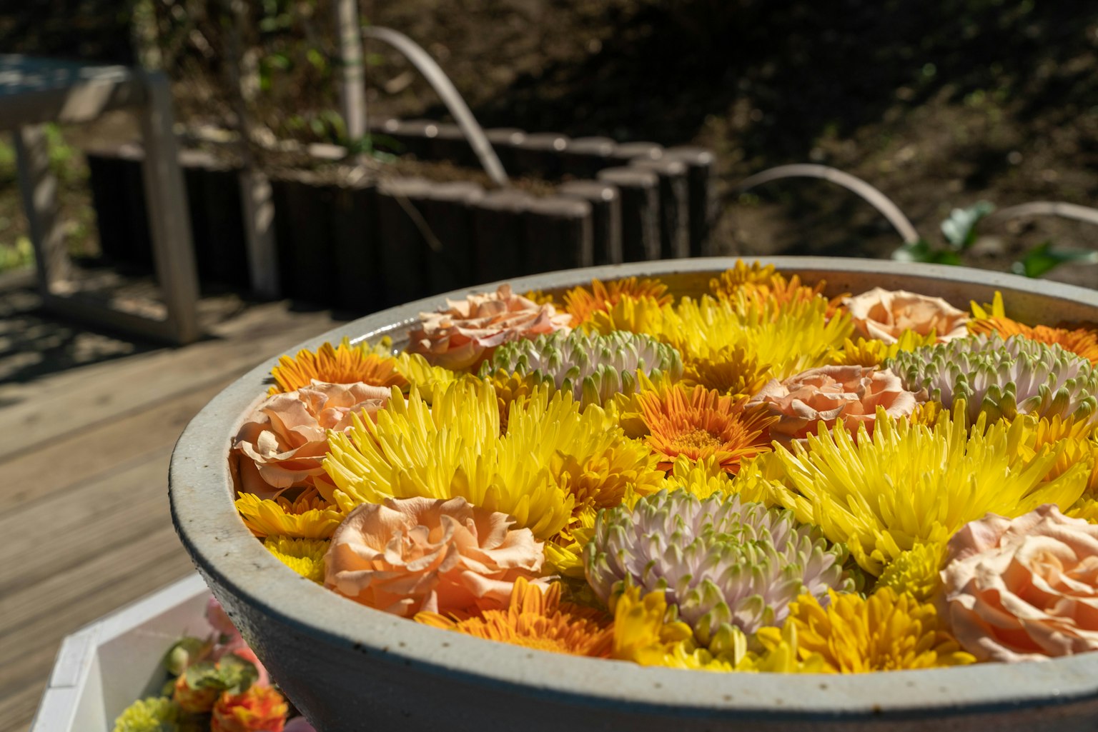 Una maceta grande llena de flores vibrantes incluyendo flores amarillas y naranjas