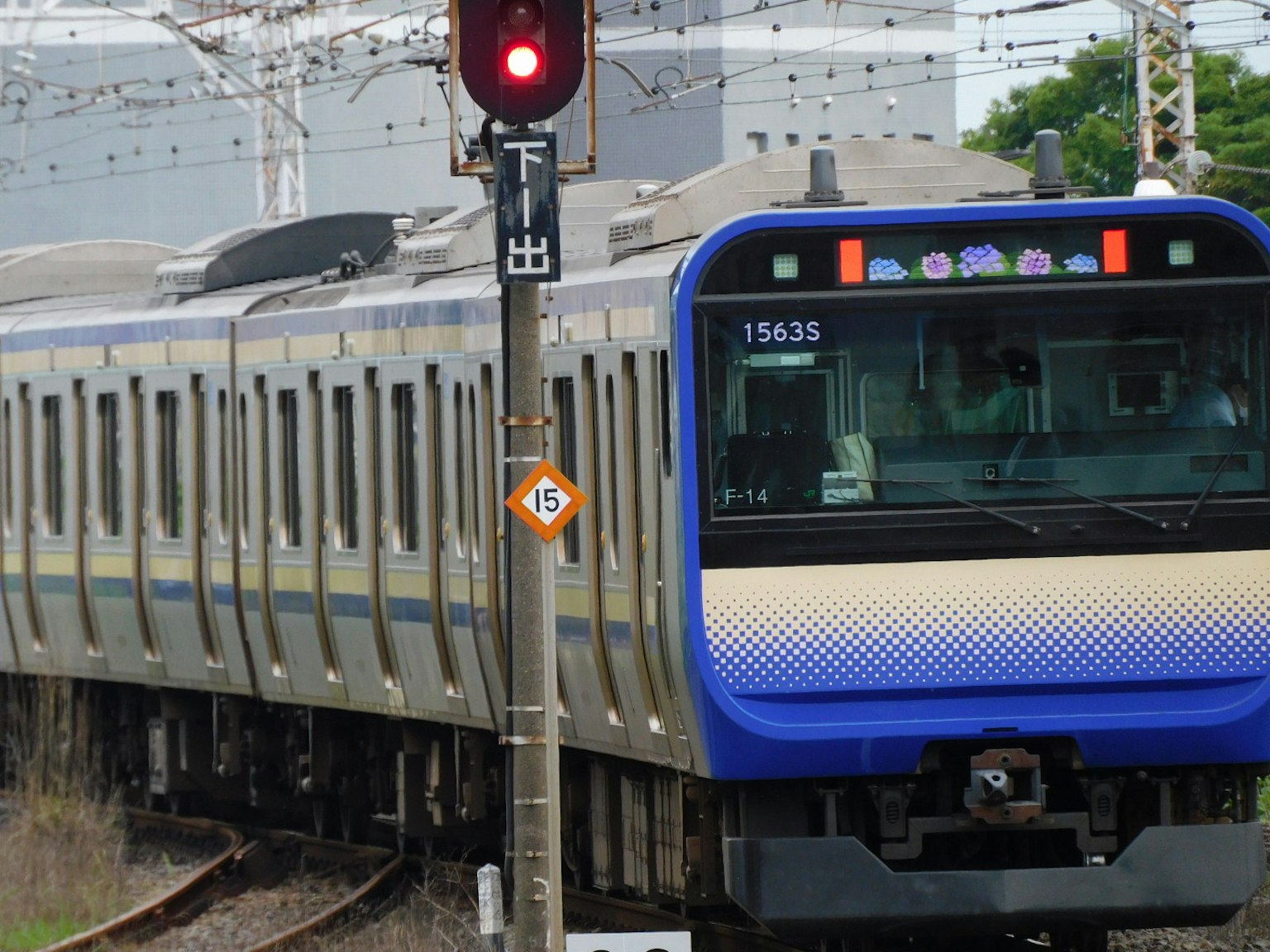 Un train bleu et blanc s'arrêtant à un feu rouge