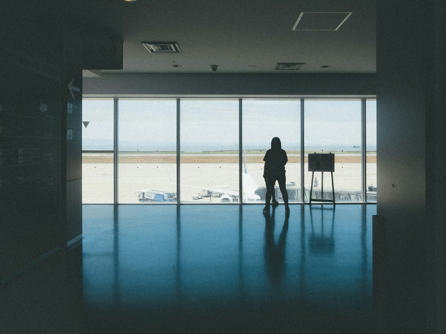 Silhouette d'une personne se tenant devant de grandes fenêtres avec vue sur un paysage