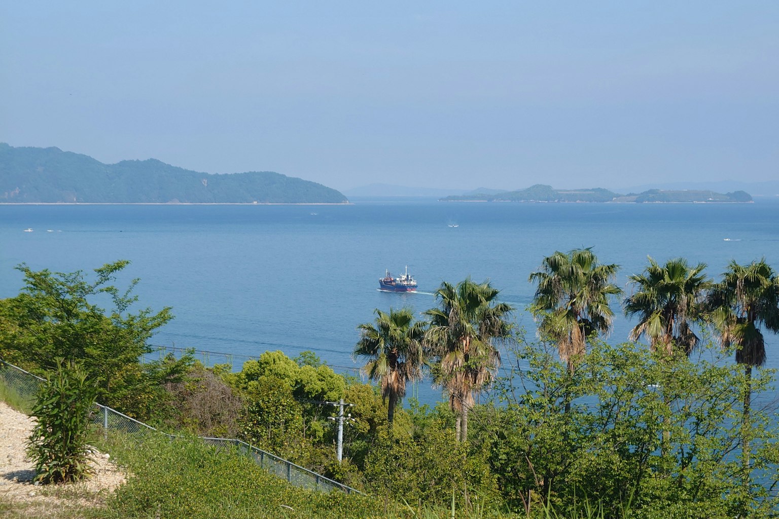 海洋与棕榈树和船的风景