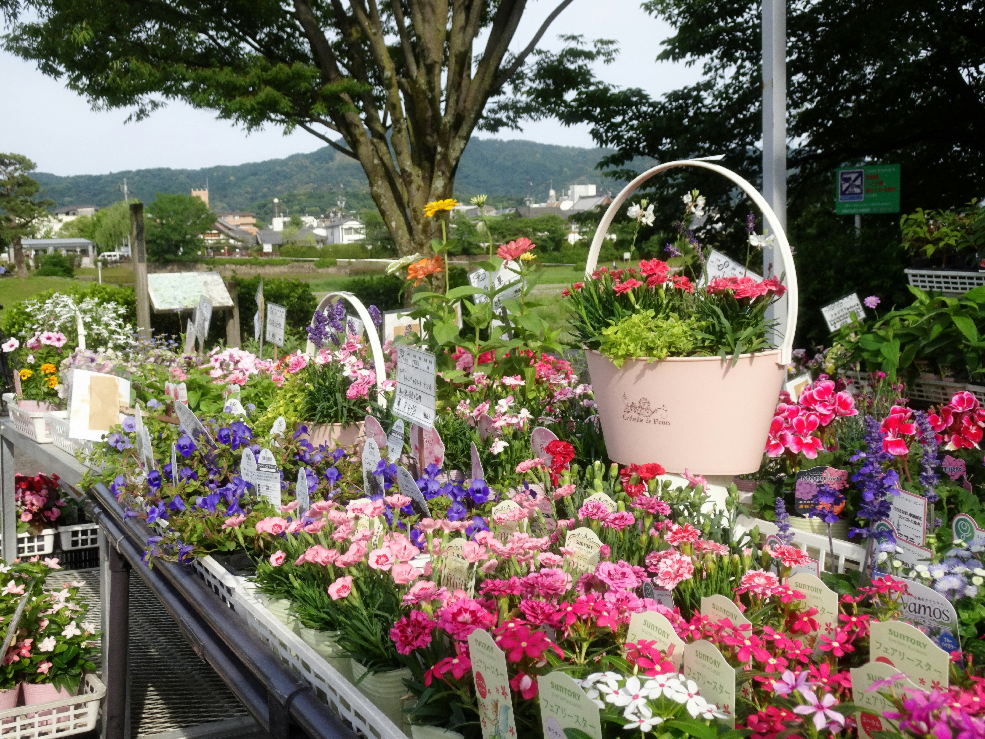 花の鉢が並ぶ屋外のガーデン販売コーナー